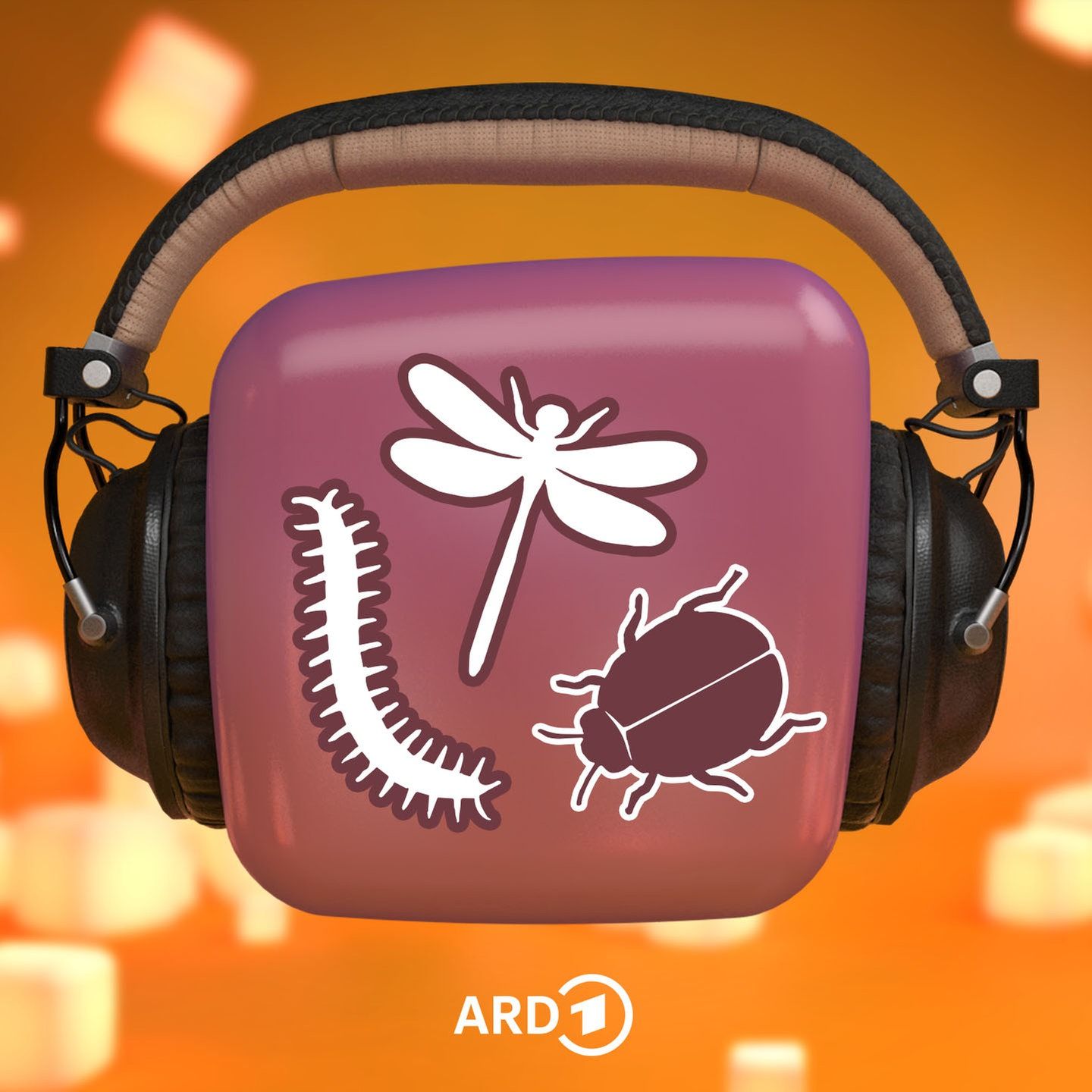 Insekten – Was krabbelt da?