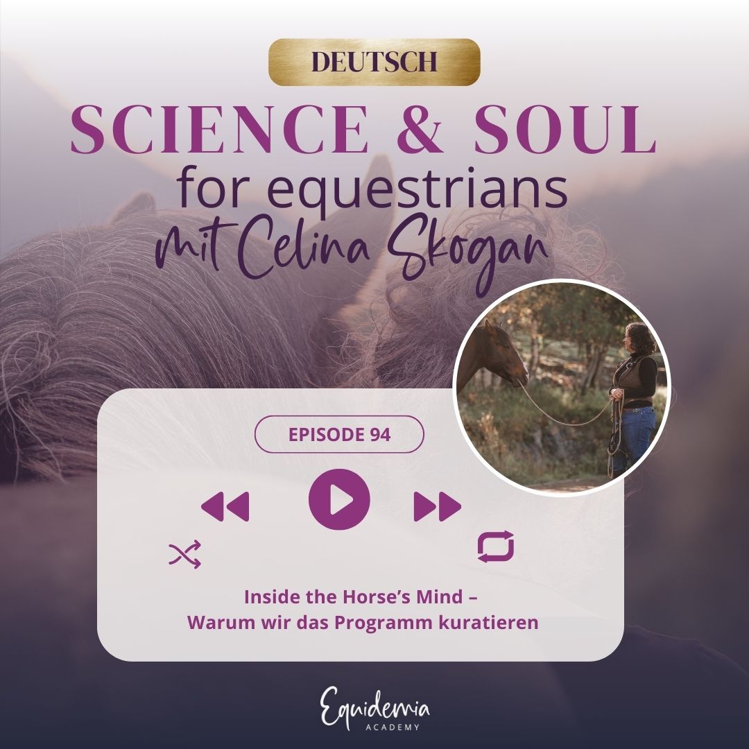 Inside the Horse’s Mind – Warum wir das Programm kuratieren