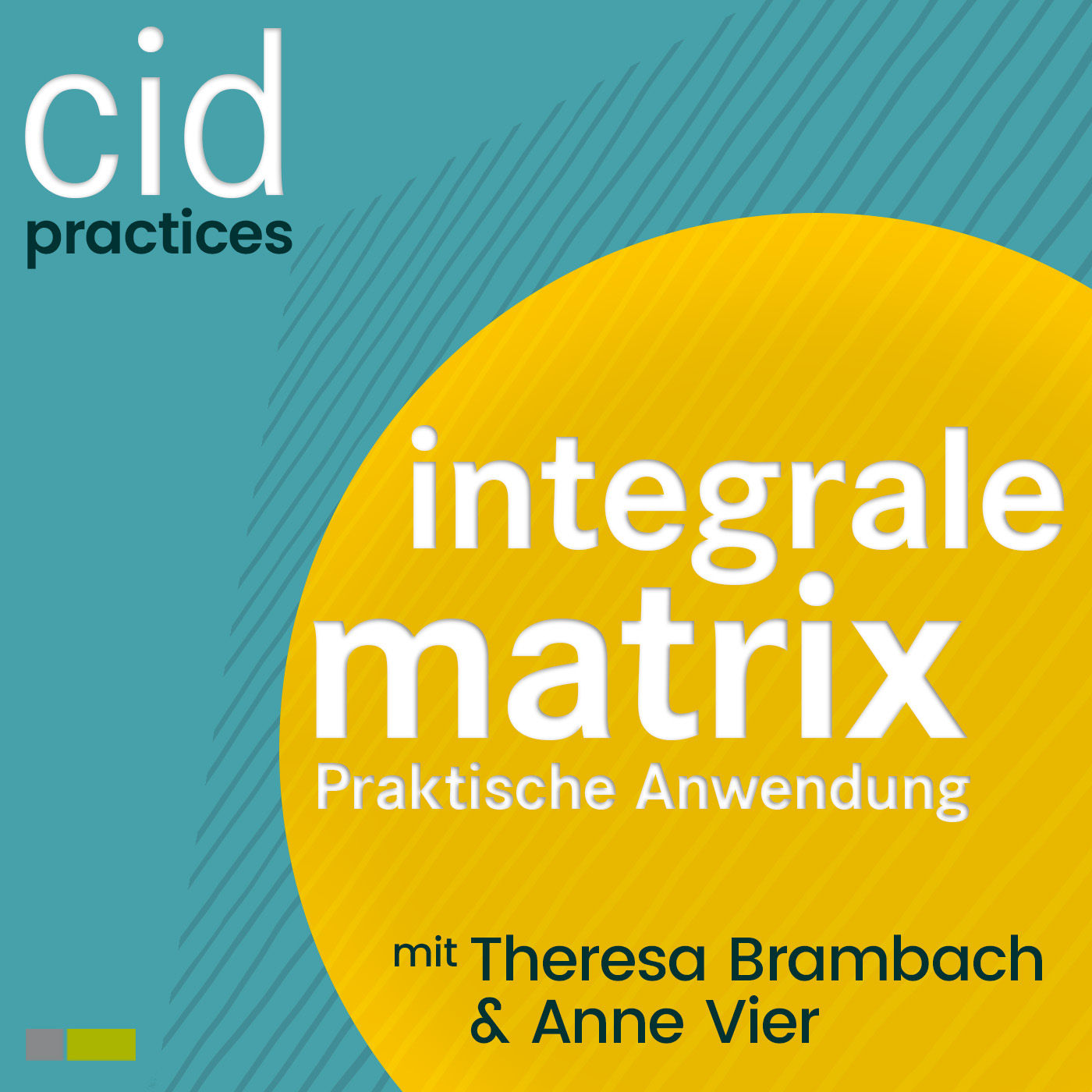 Integrale Matrix - cidPractices