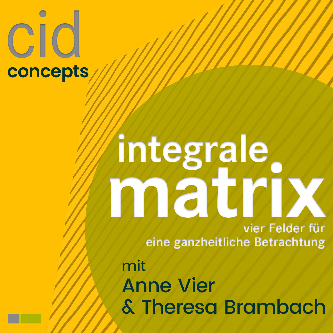 Integrale Matrix. Vier Felder für eine ganzheitliche Betrachtung - cidConcepts