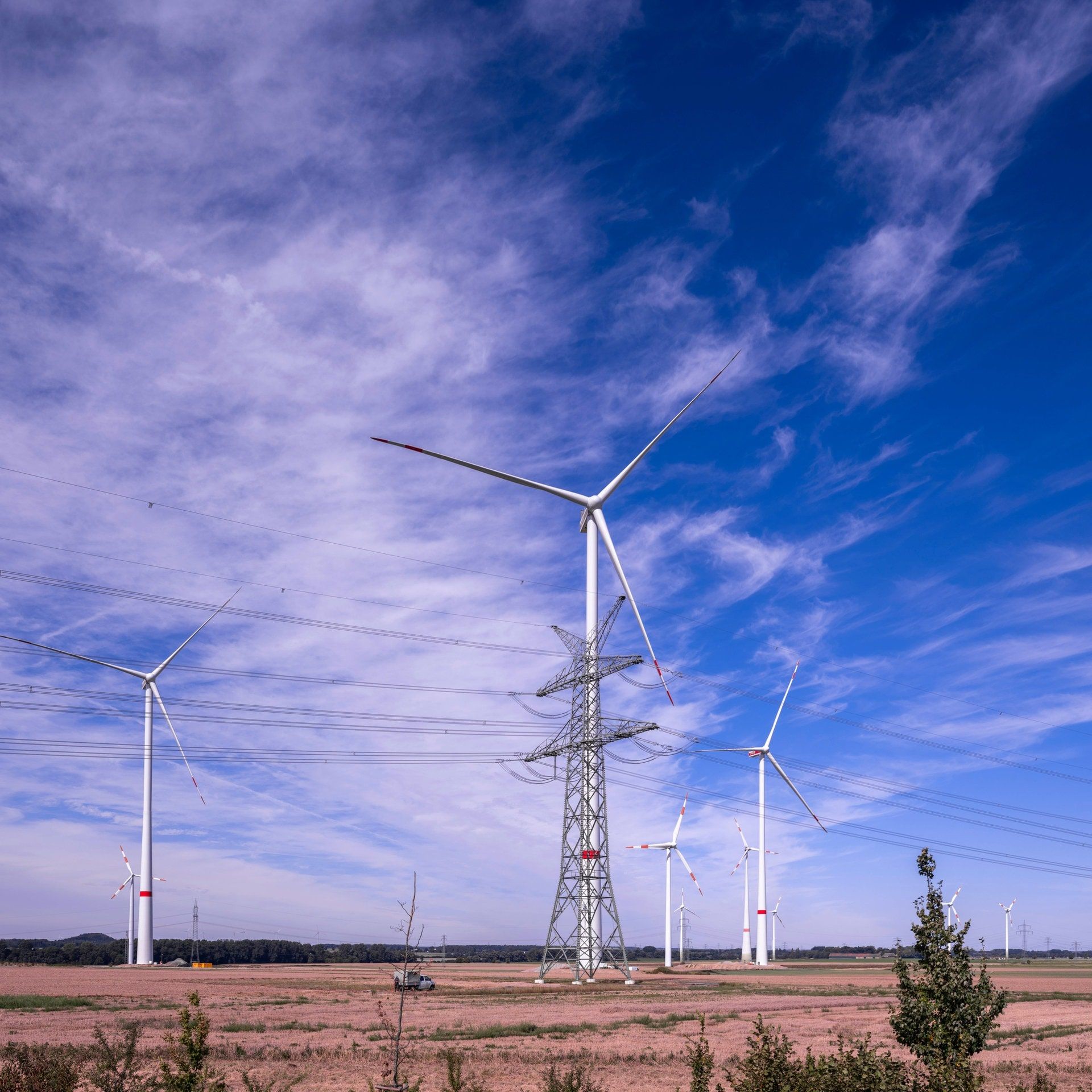 Internationale Energieagentur IEA: World Energy Outlook sieht wachsenden Strombedarf