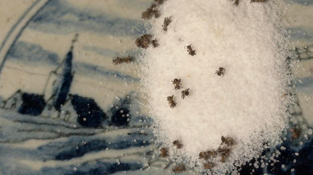 Internetökonomie & Plattformlogik