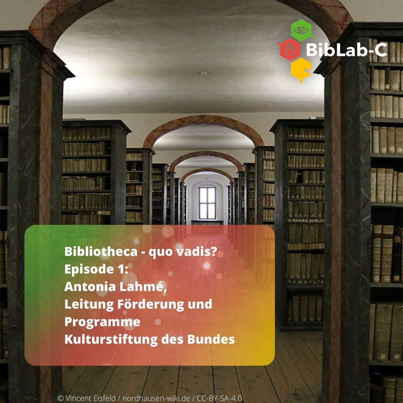 Interview mit Antonia Lahmé, Leitung Förderung und Programme Kulturstiftung des Bundes