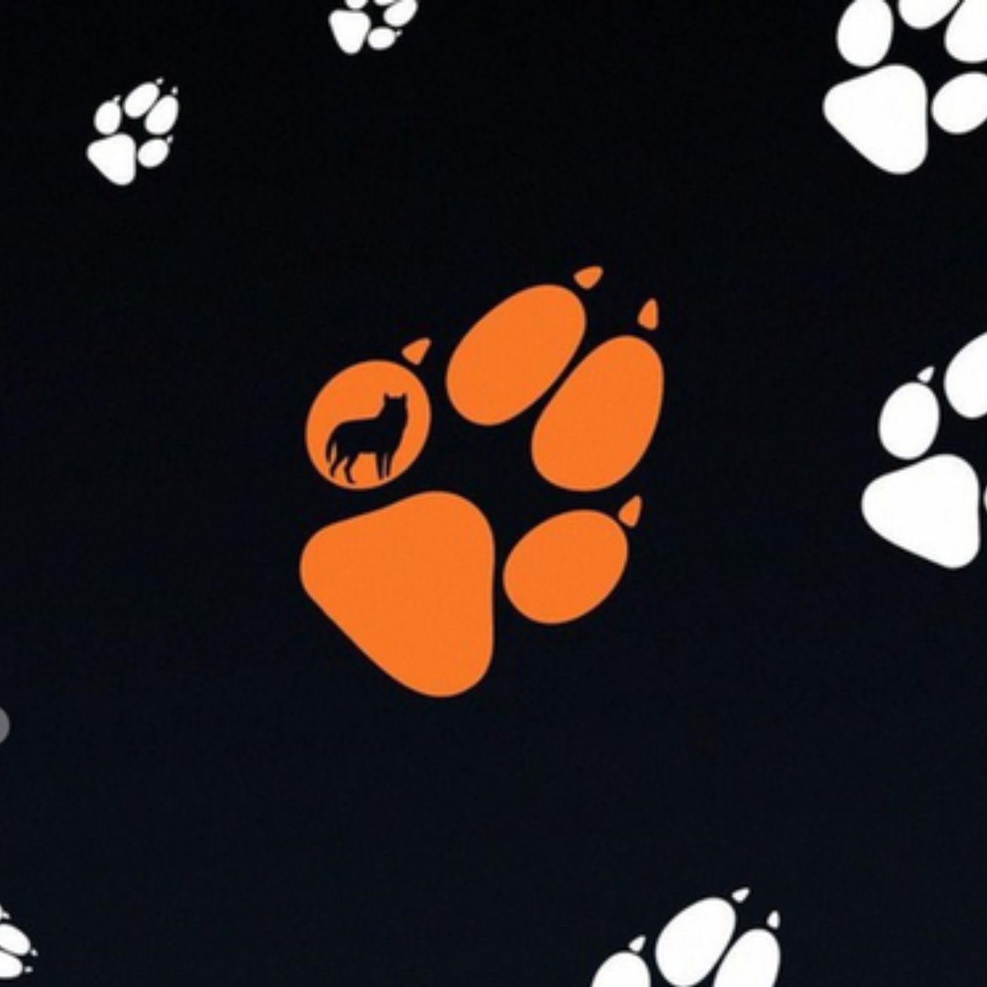 Interview mit Debra McGuire