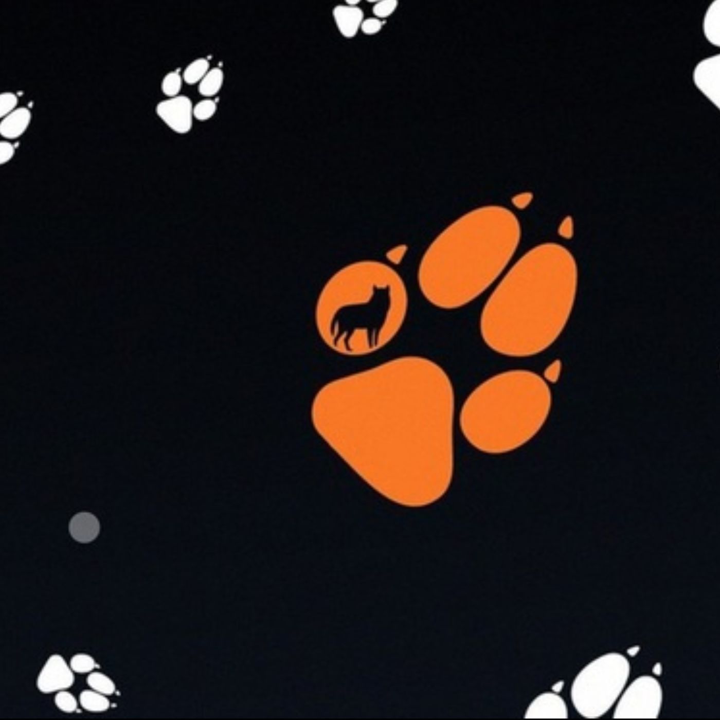 Interview mit Direktorin Tiina Lokk zur 29. Ausgabe des Tallinn Black Nights Film Festivals