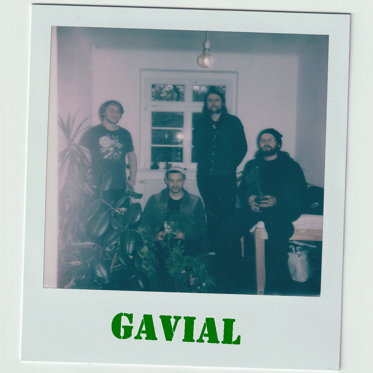 Interview mit GAVIAL