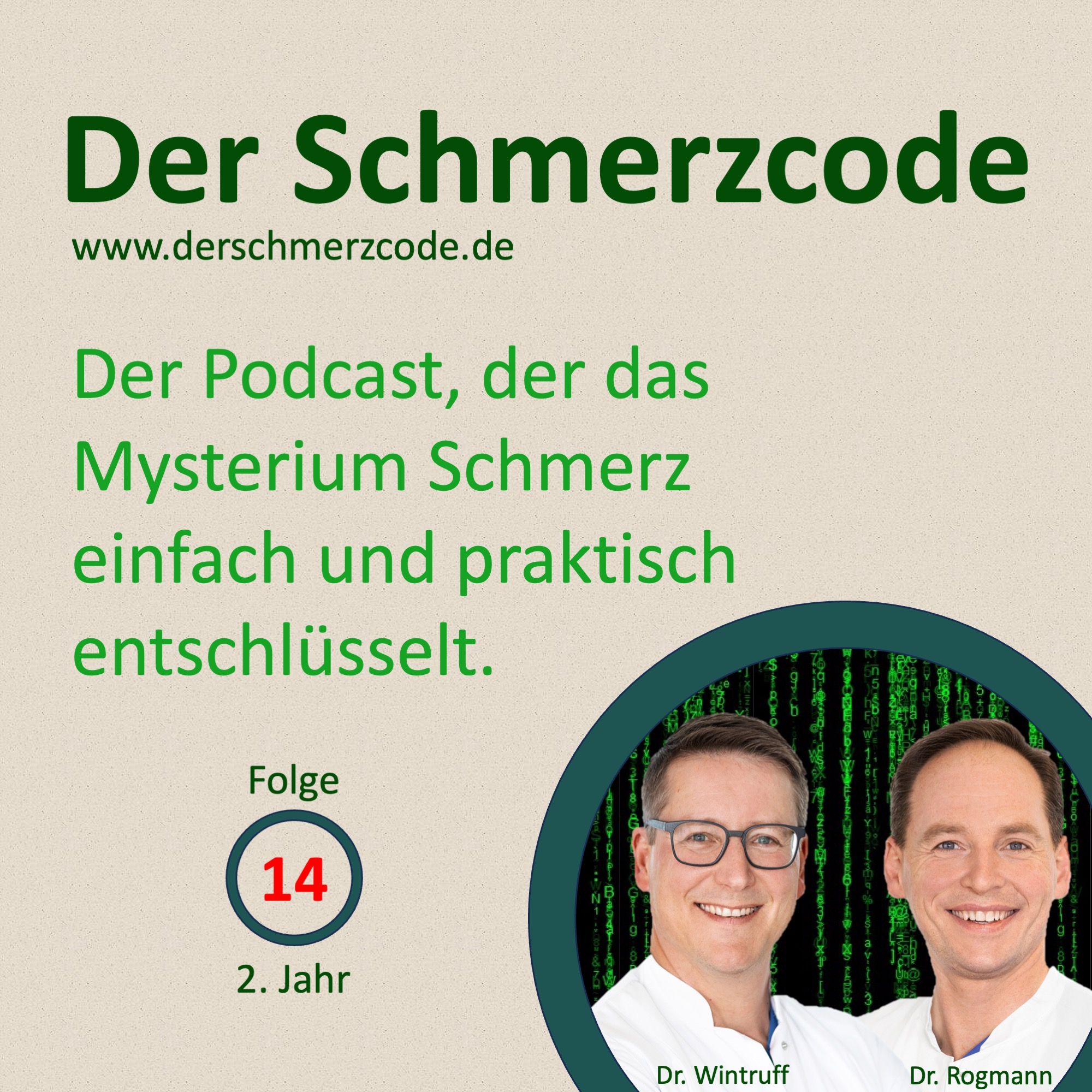 Interview mit Prof. Lipp - Opiate & Opioide