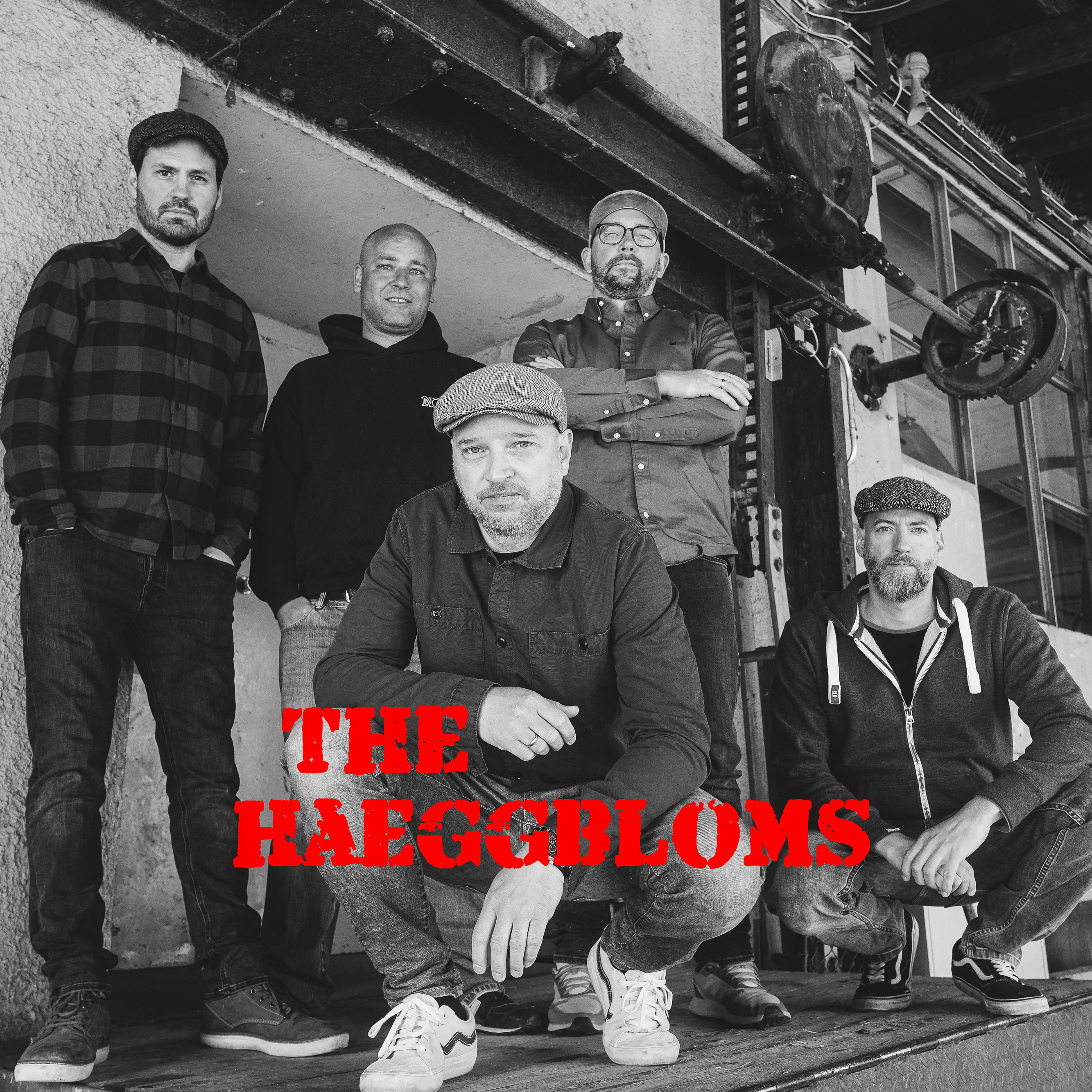 Interview mit THE HAEGGBLOMS