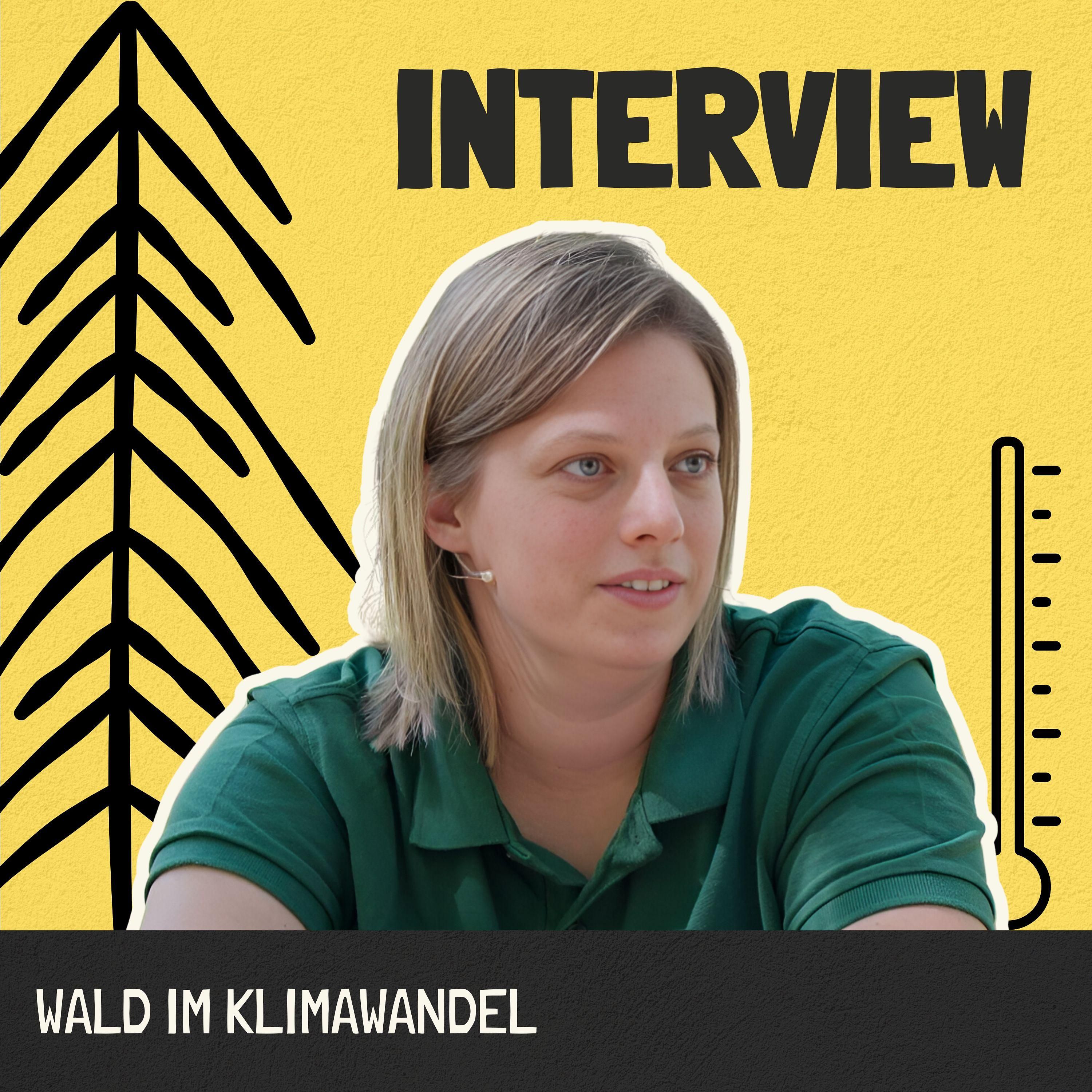 Interview - Wald und Klimawandel