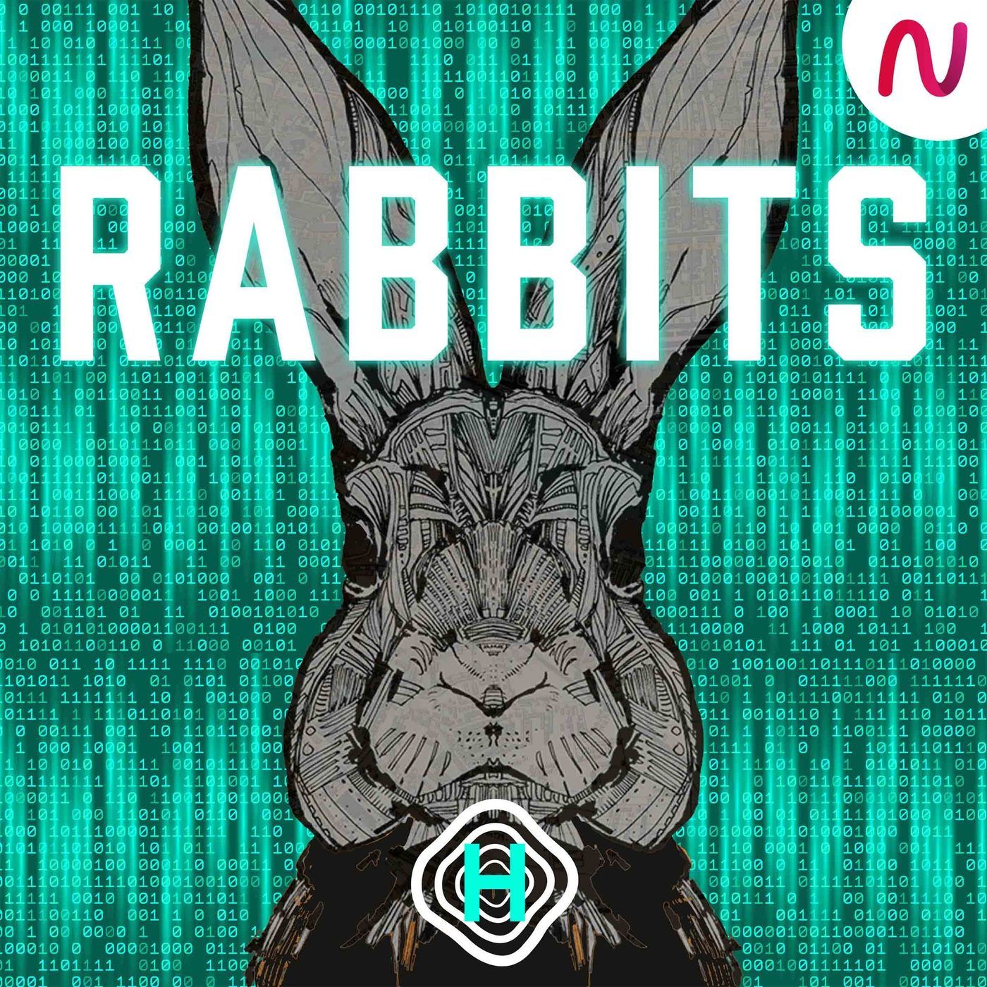 INTRODUCING: Rabbits