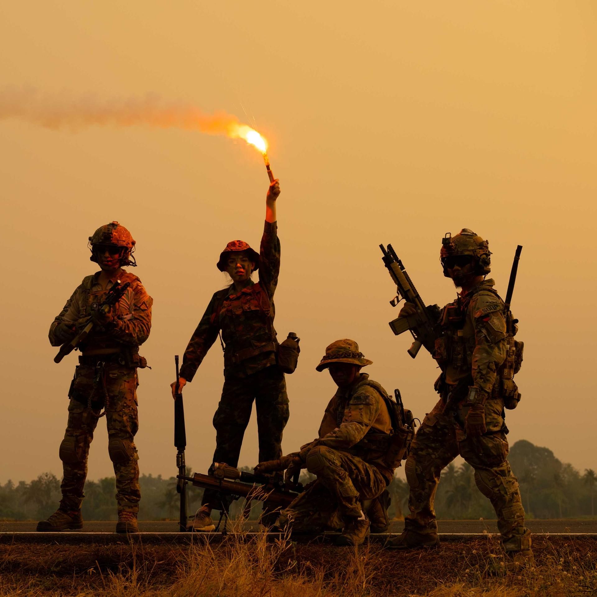 Investigativer Politthriller - Wer die Hunde weckt (2/2)