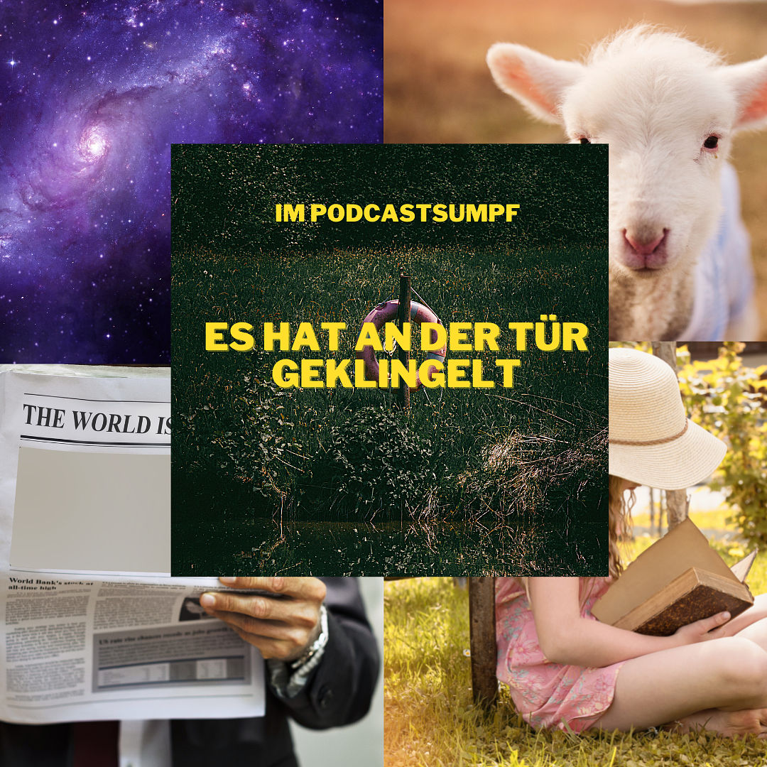 IPS43 - Es hat an der Tür geklingelt
