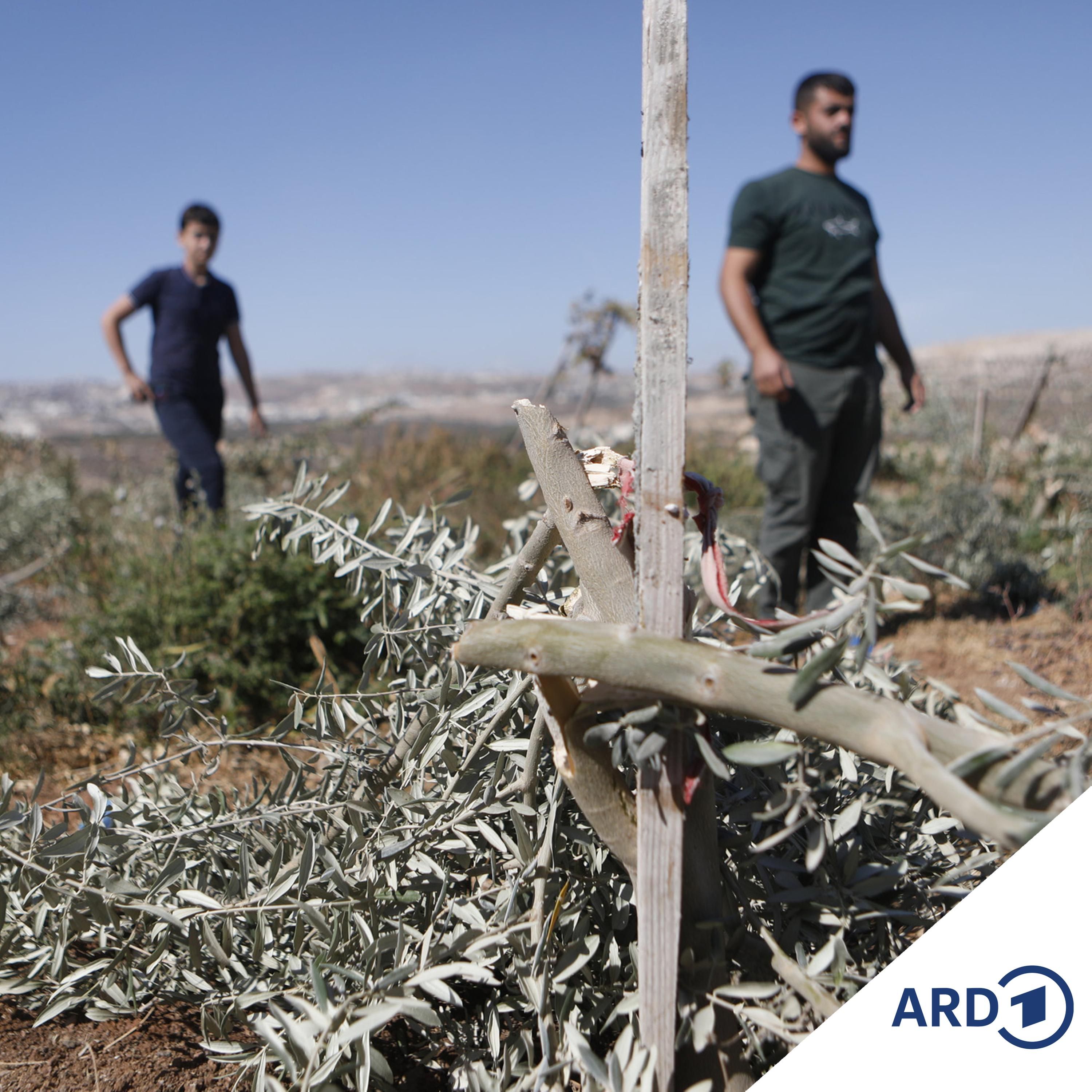 Israel: Drei palästinensische Kämpfer im Westjordanland getötet