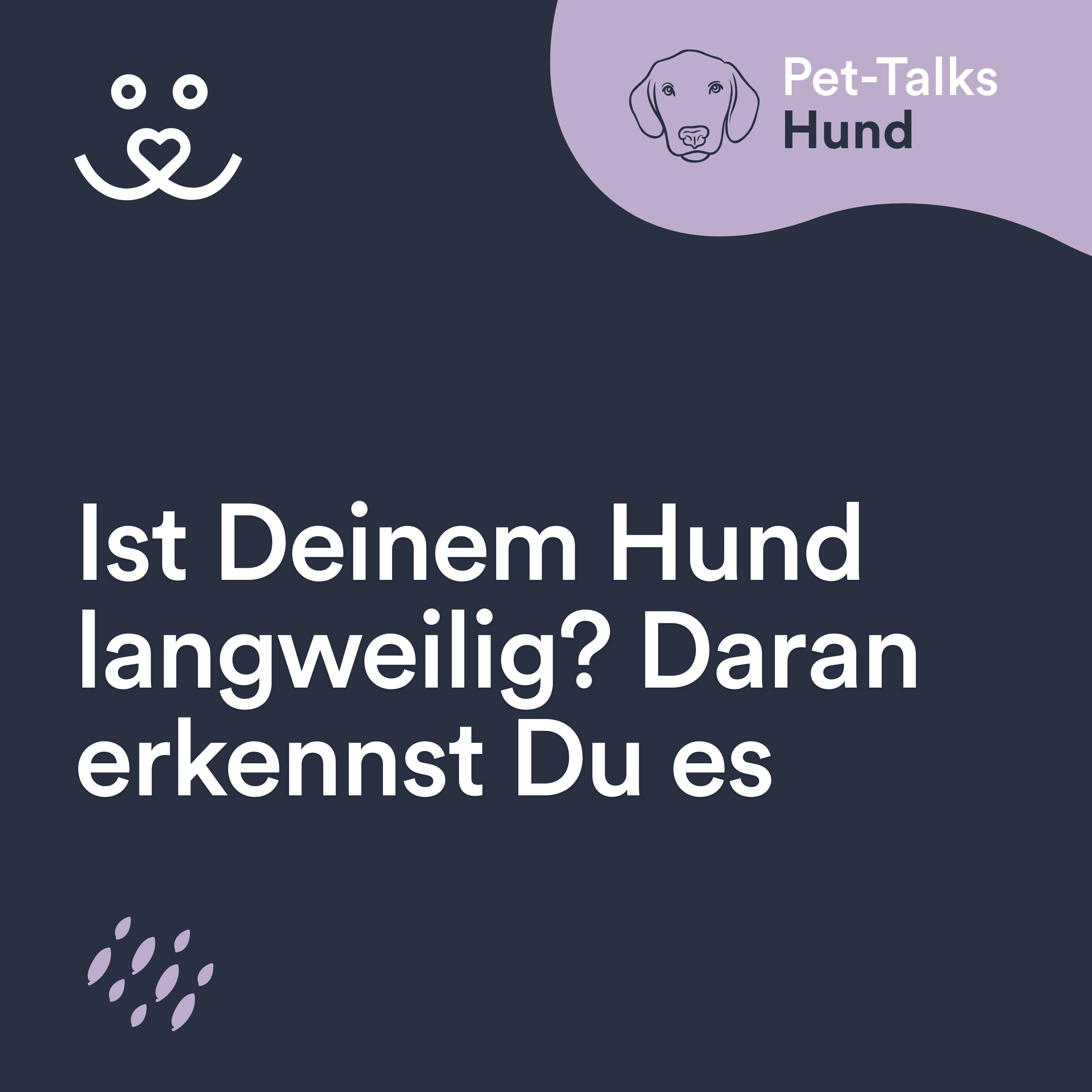 Ist Deinem Hund langweilig? An diesen Anzeichen erkennst Du es
