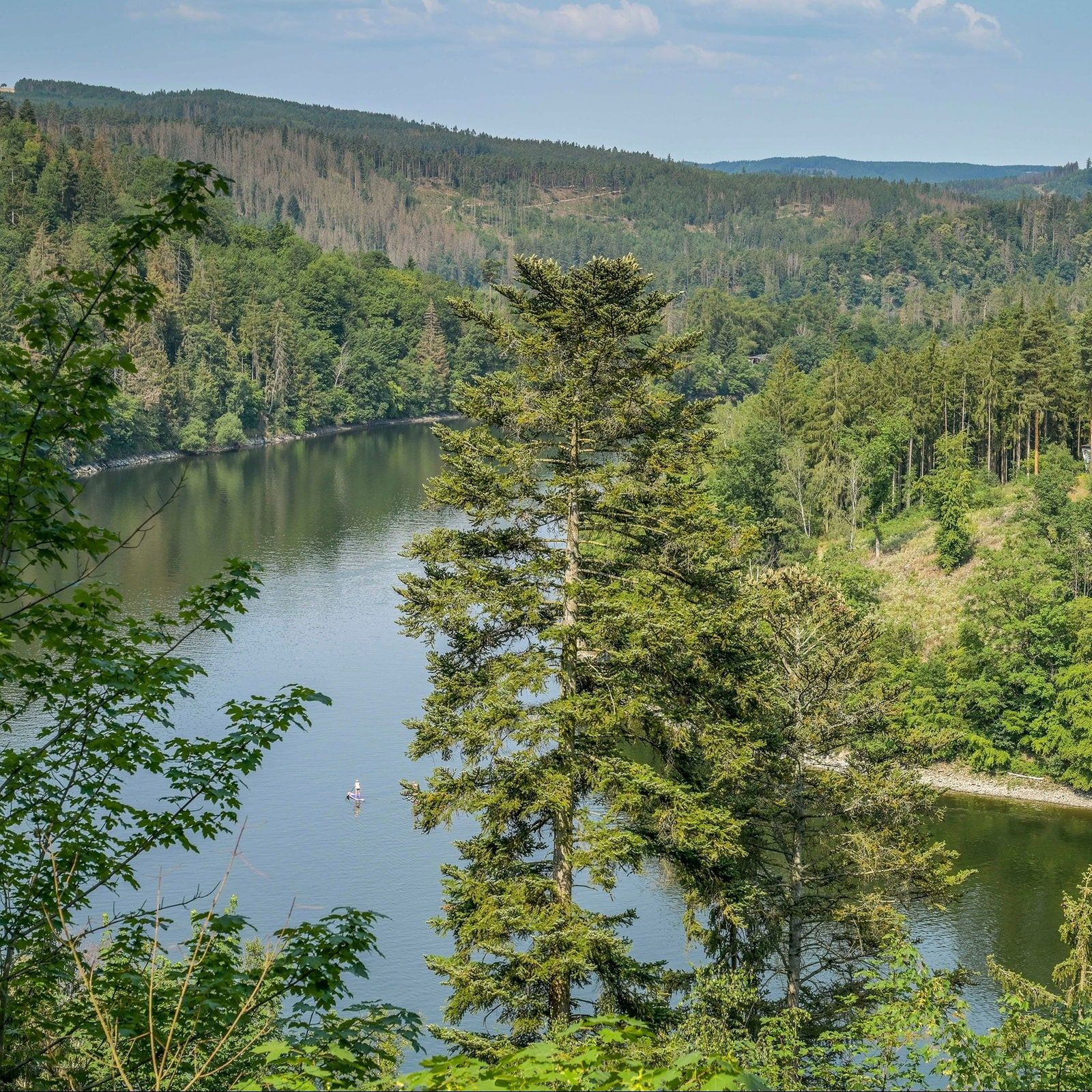 Ist die aktuelle Trockenheit normal?