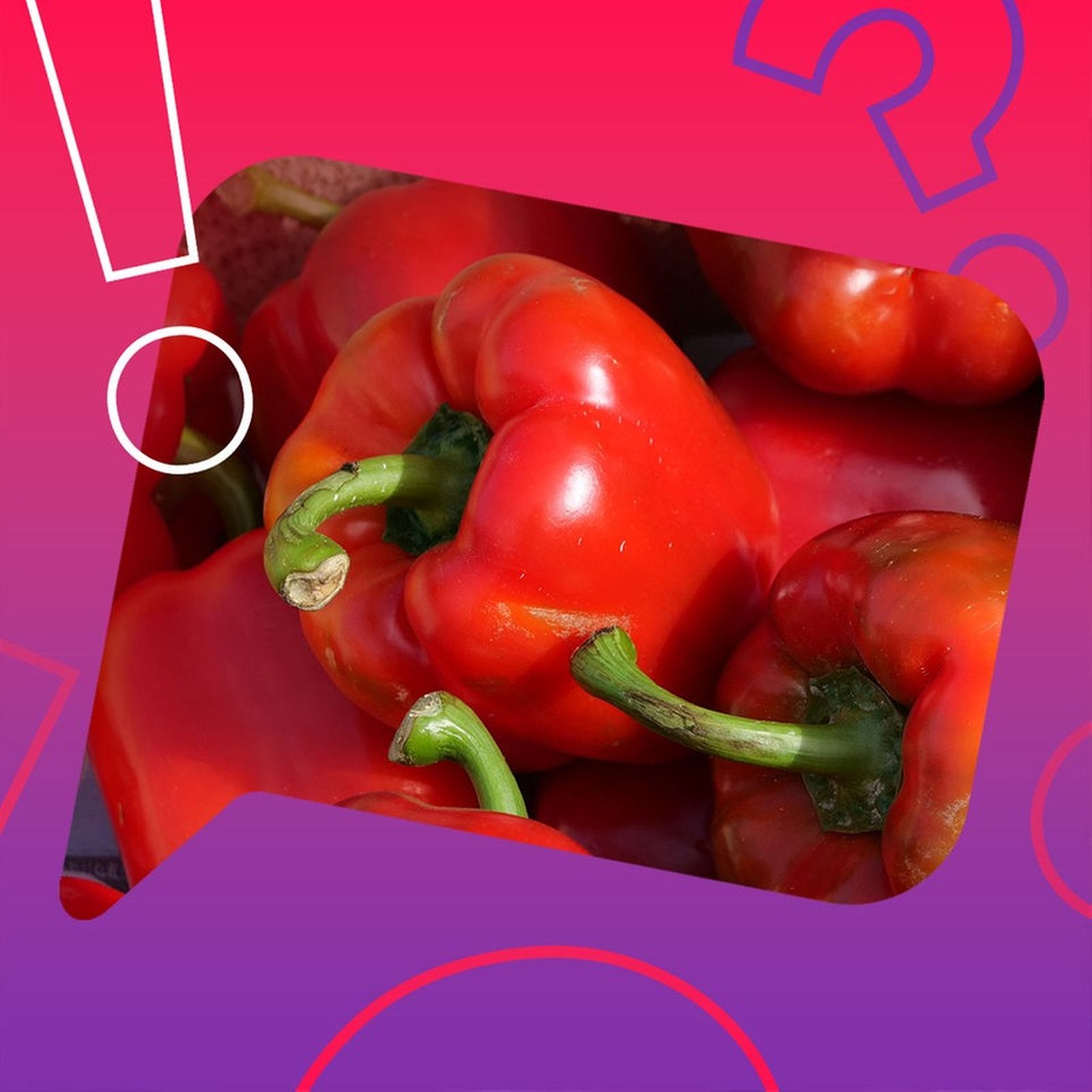 Ist eine Paprika umso süßer, je mehr Höcker sie hat?