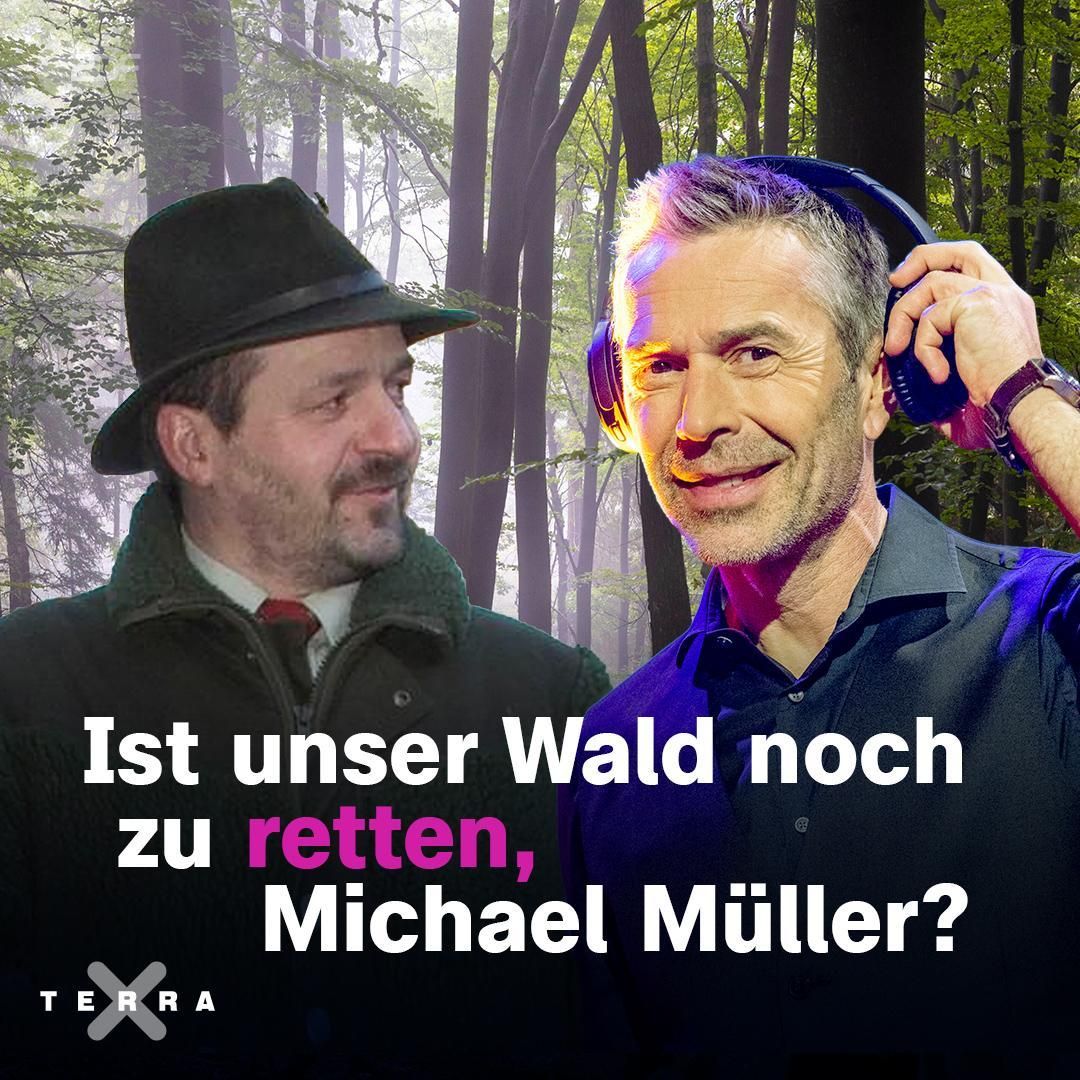 "Ist unser Wald noch zu retten, Michael Müller?"