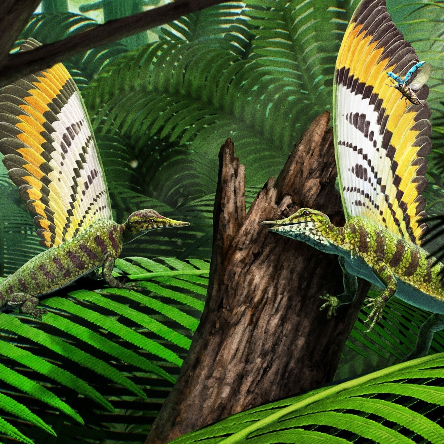 Jahresrückblick 2025 - Good News aus der Forschung