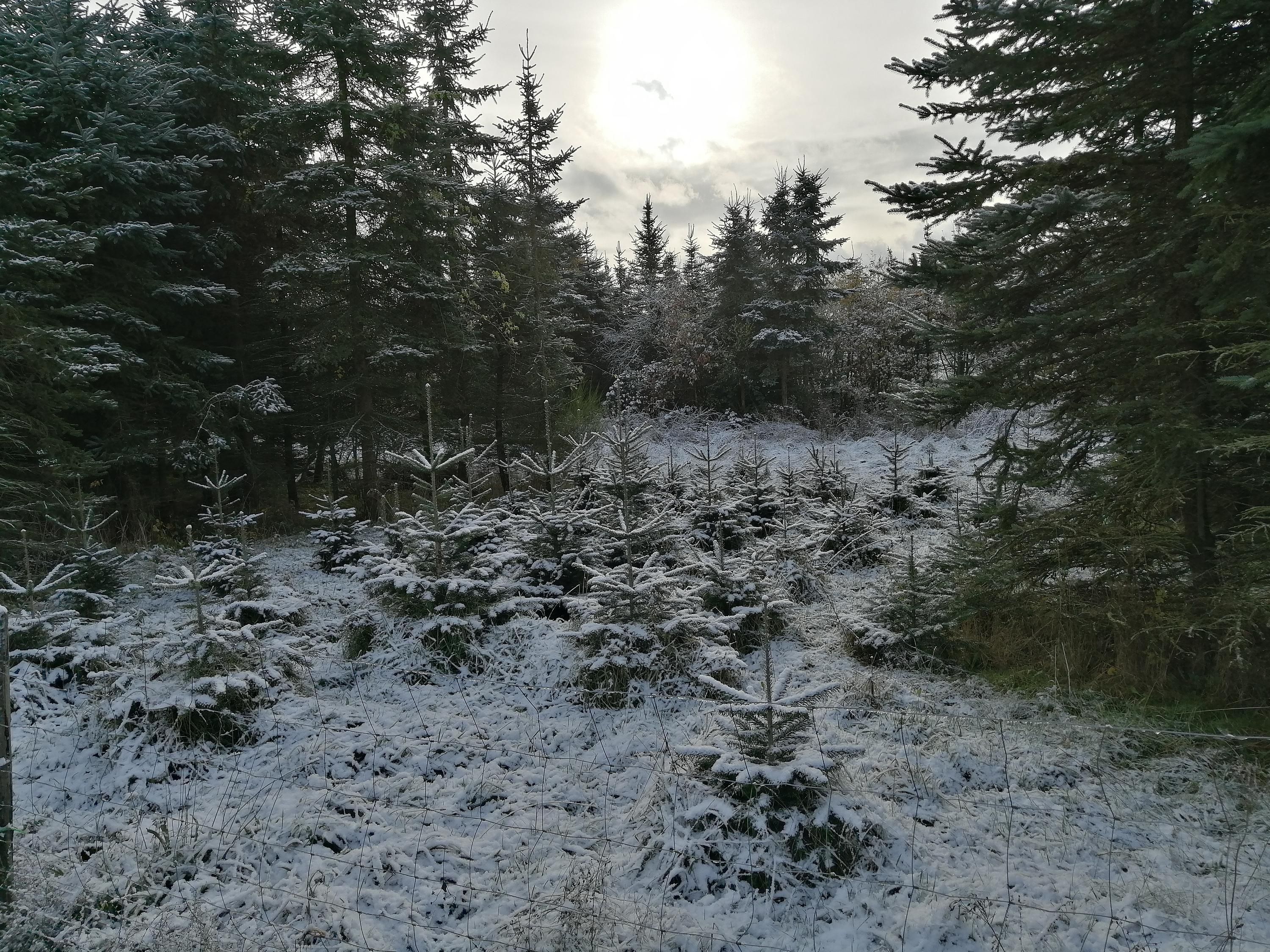 Jeder Tag ist ein Abenteuer