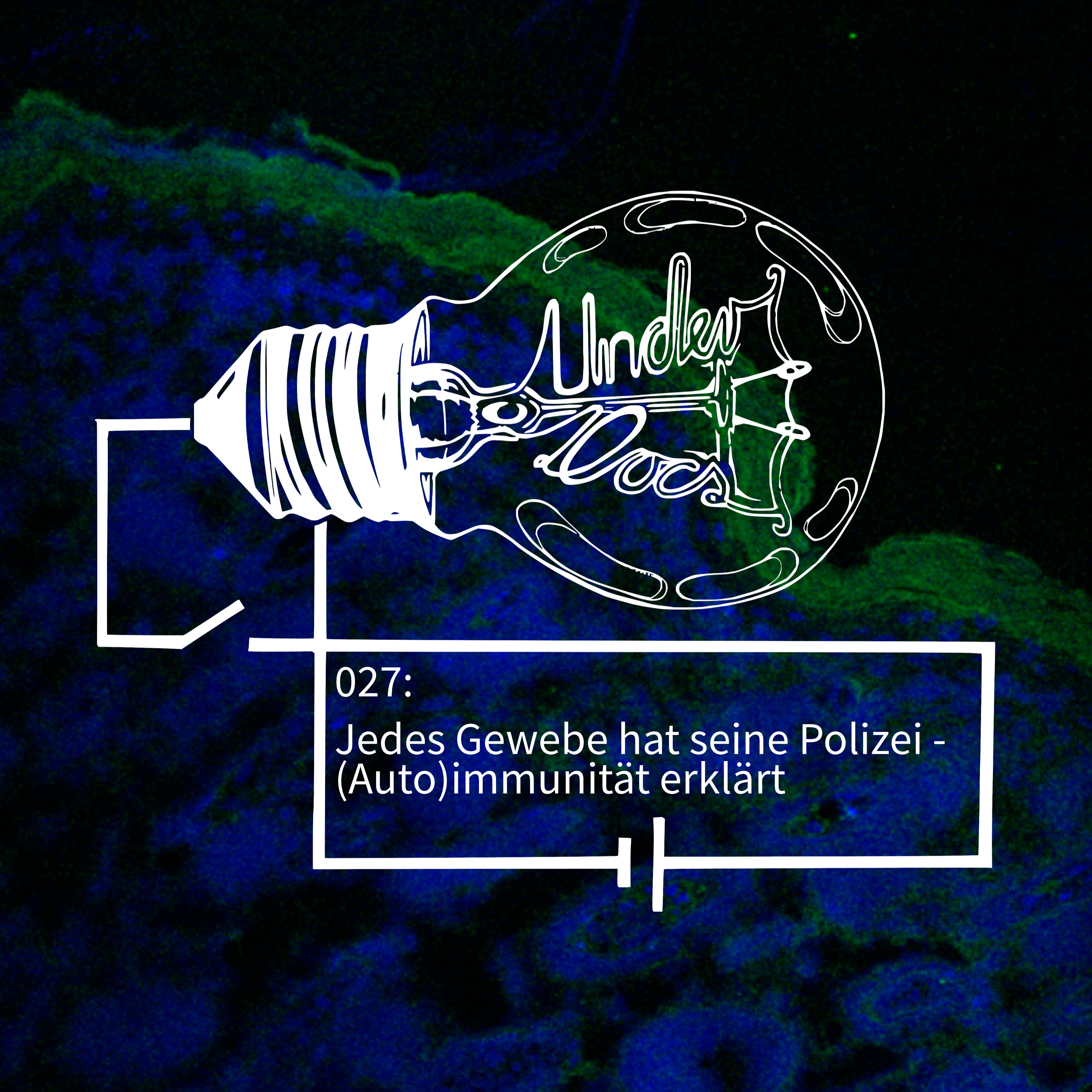 Jedes Gewebe hat seine Polizei - (Auto)immunität erklärt