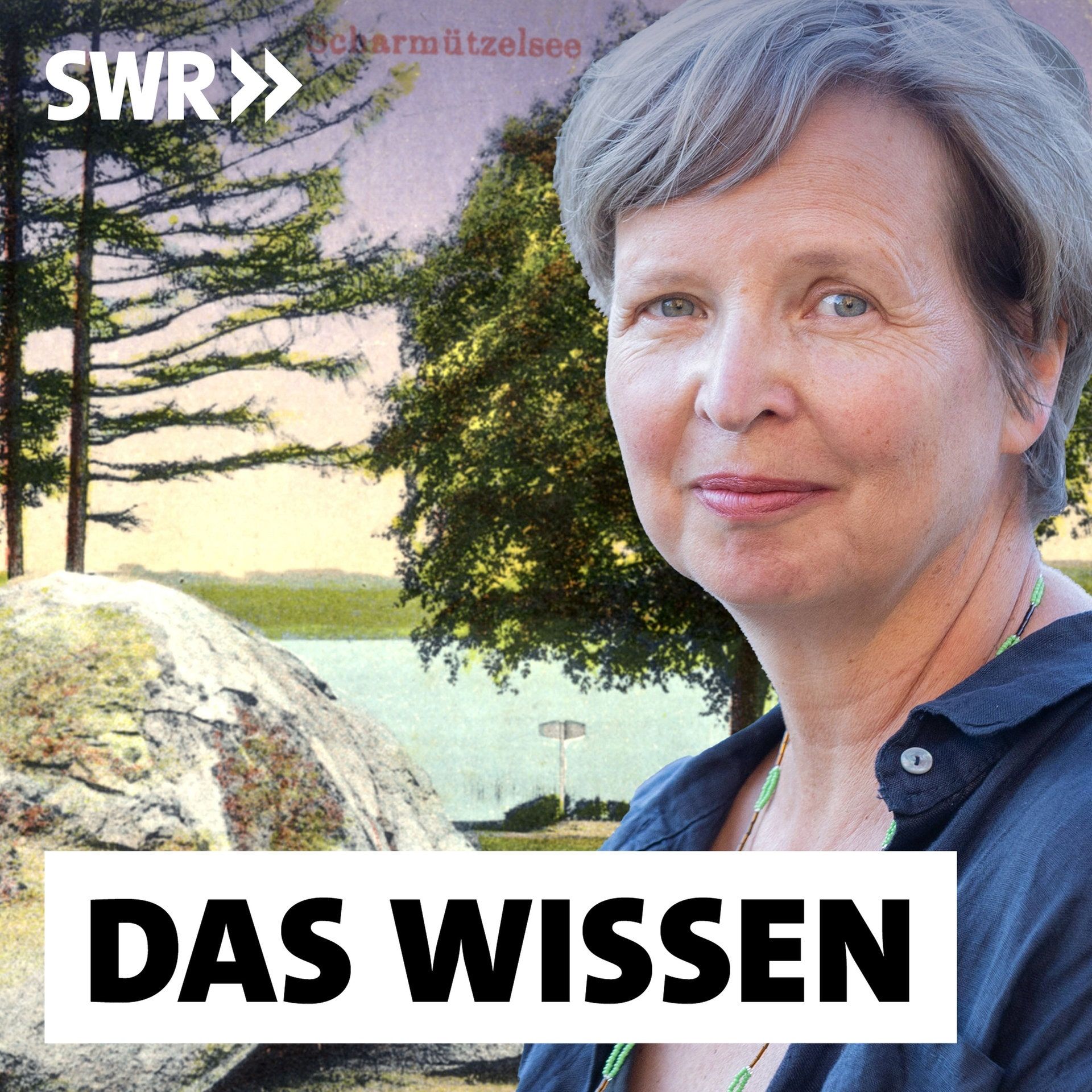 Jenny Erpenbeck: "Heimsuchung" | Sternchenthemen im Deutsch-Abitur 2026