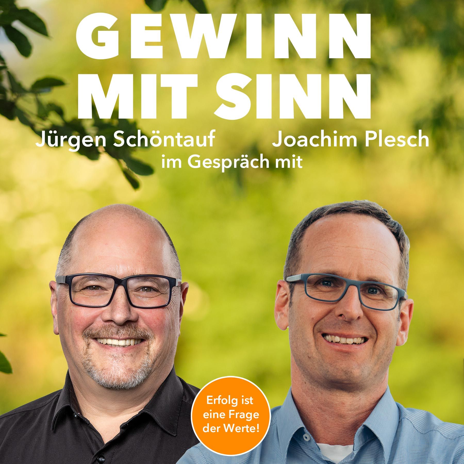 Joachim Plesch: Realitätscheck der Energiewende!
