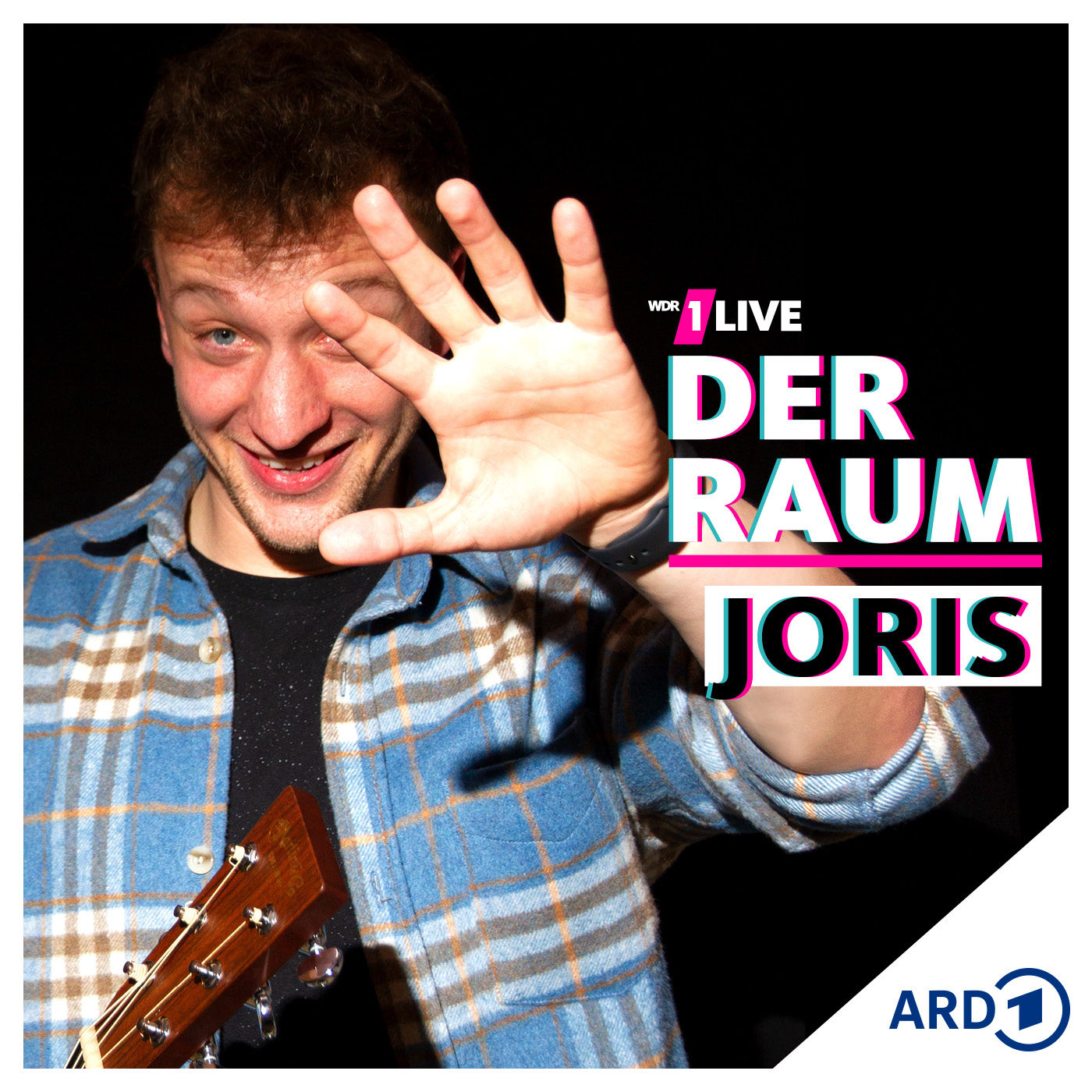 Joris: Wie ich DJ BoBo das Leben rettete