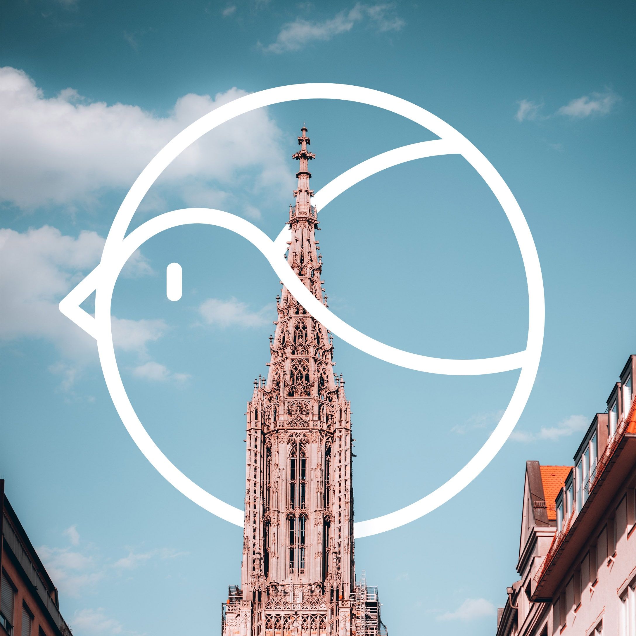 Jubiläum: 20. Ulmer Friedenswochen starten!