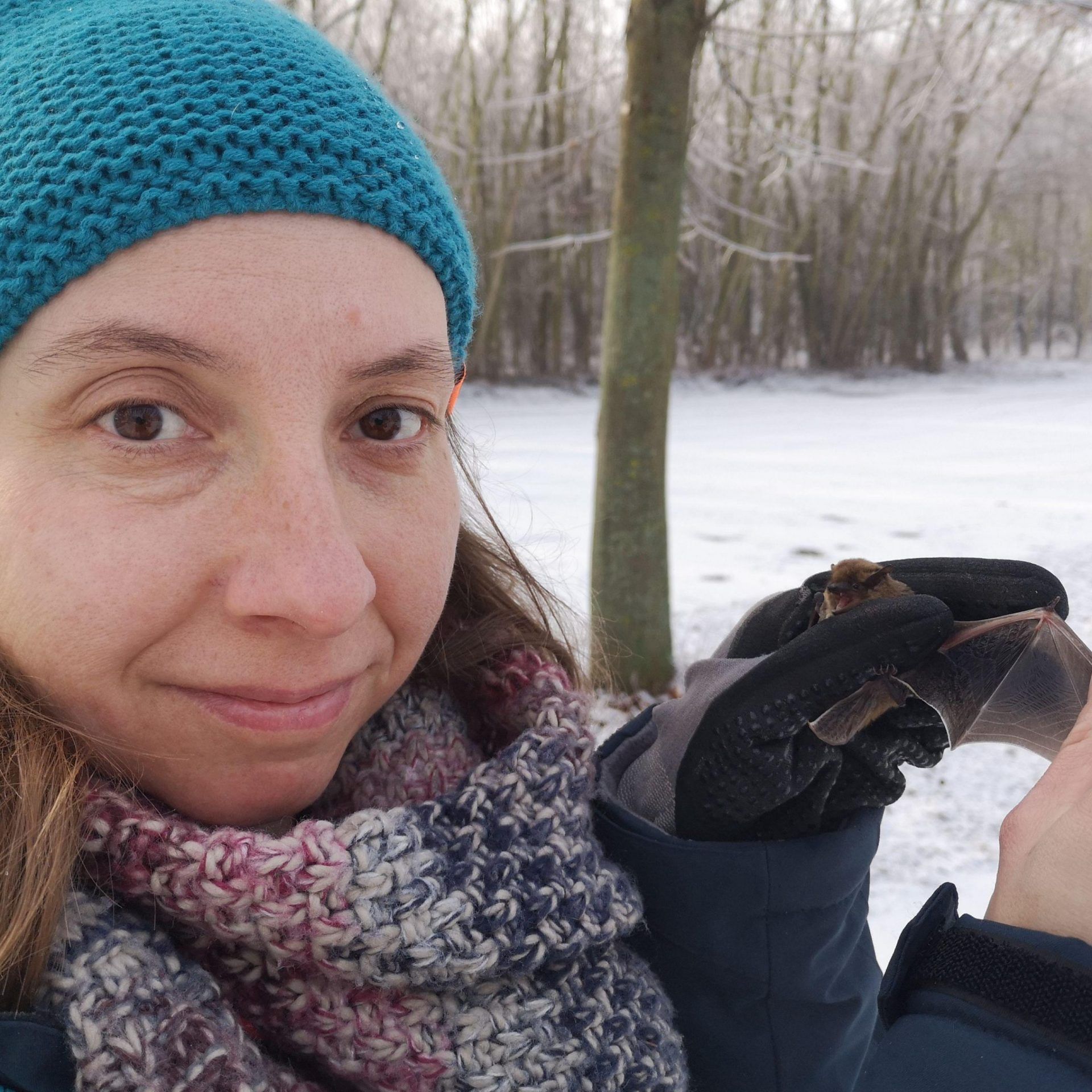 Julia, der Bat-Detektor und die Fledermäuse