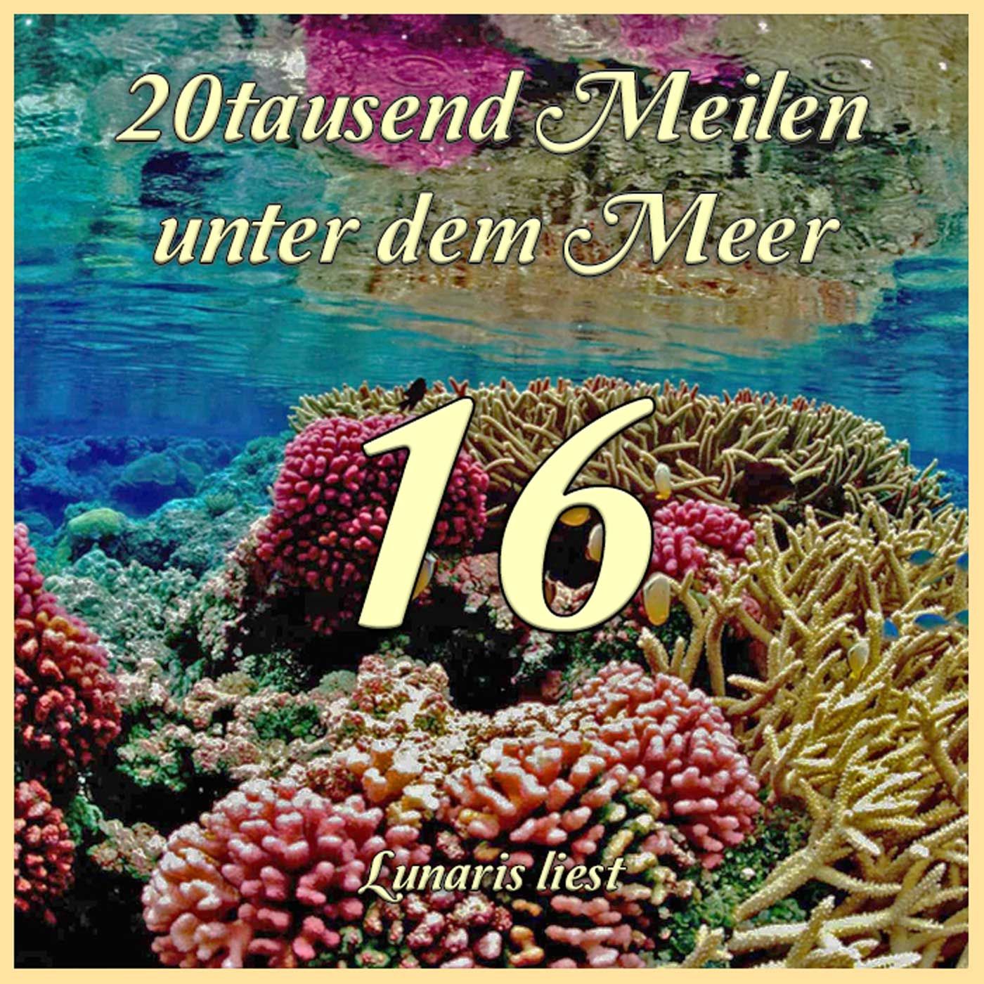 K16 Spaziergang im Freien - 20tausend Meilen unter dem Meer | Lunaris liest