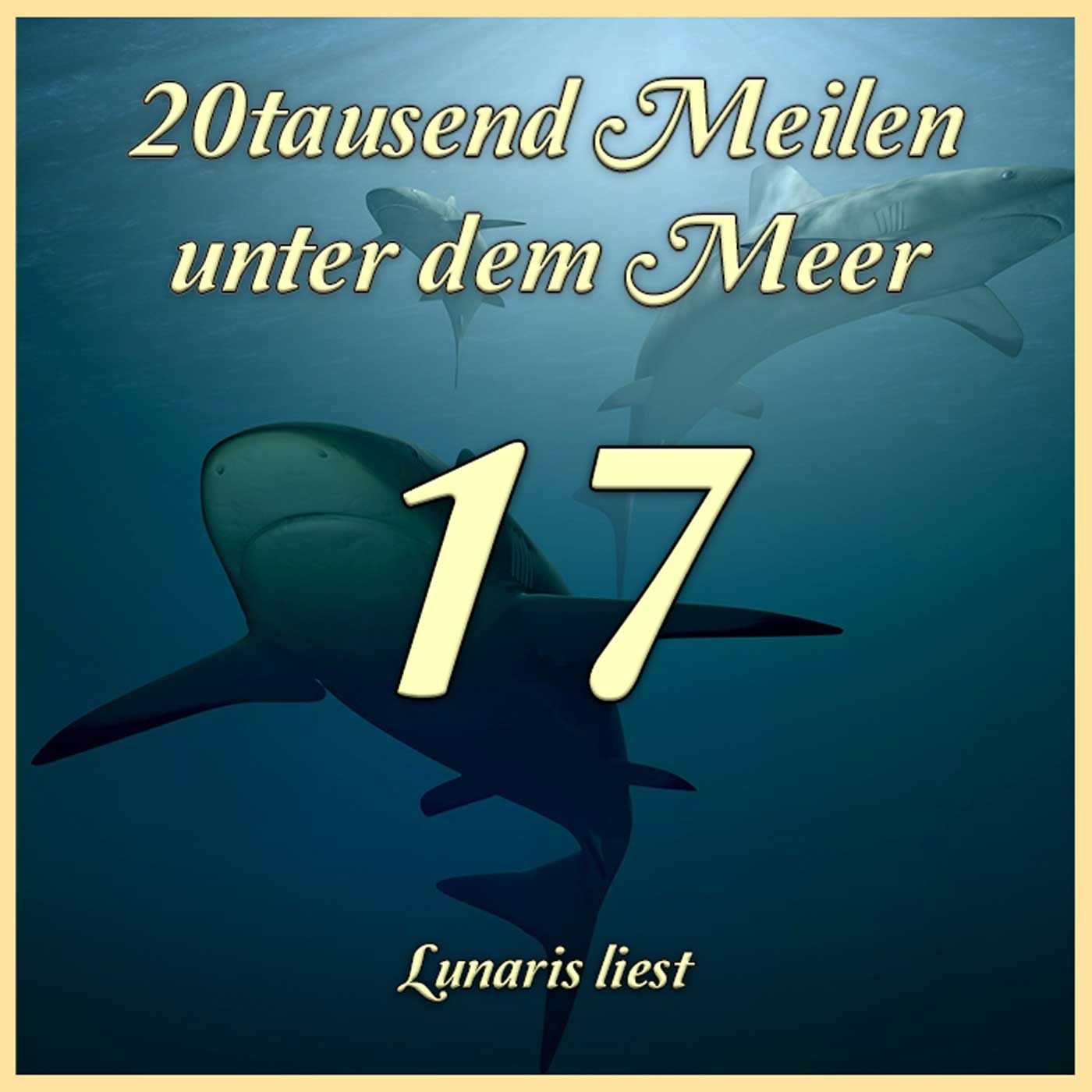K17 Ein unterseeischer Wald - 20tausend Meilen unter dem Meer | Lunaris liest