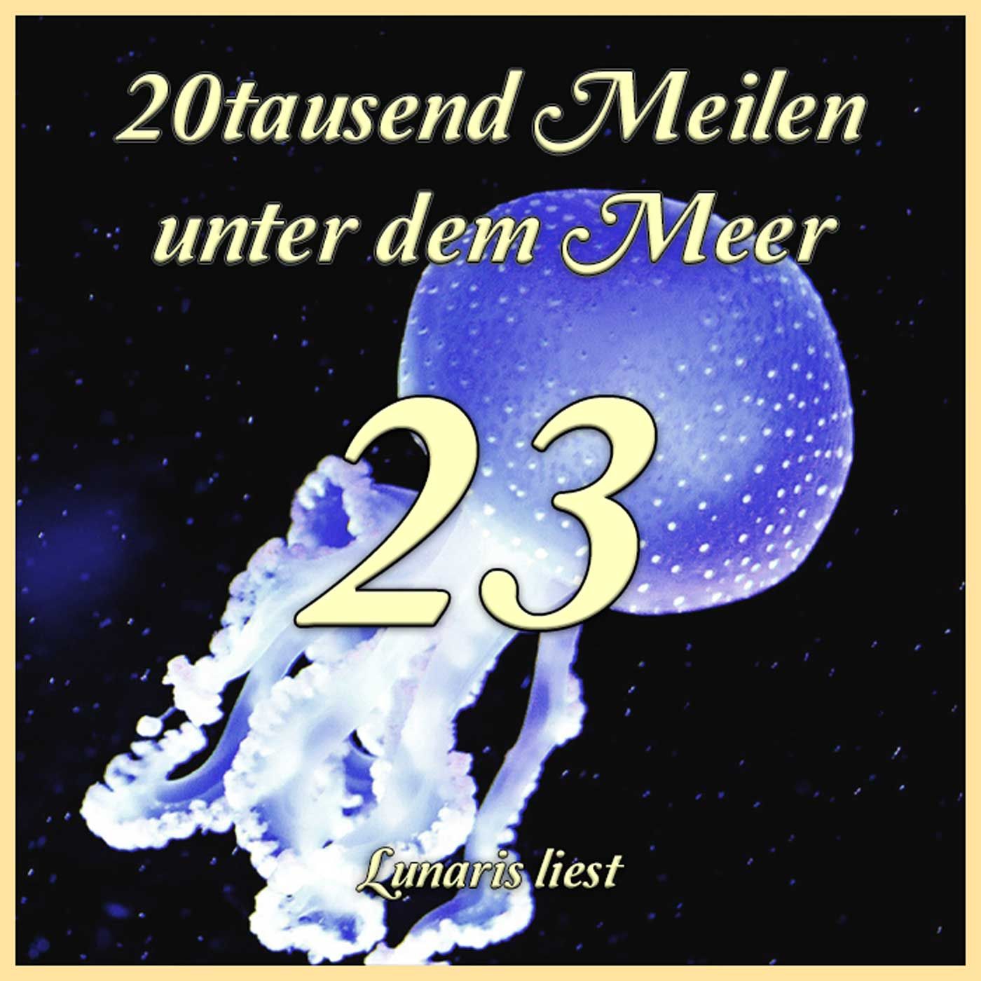 K23 Fieberträume - 20tausend Meilen unter dem Meer | Lunaris liest