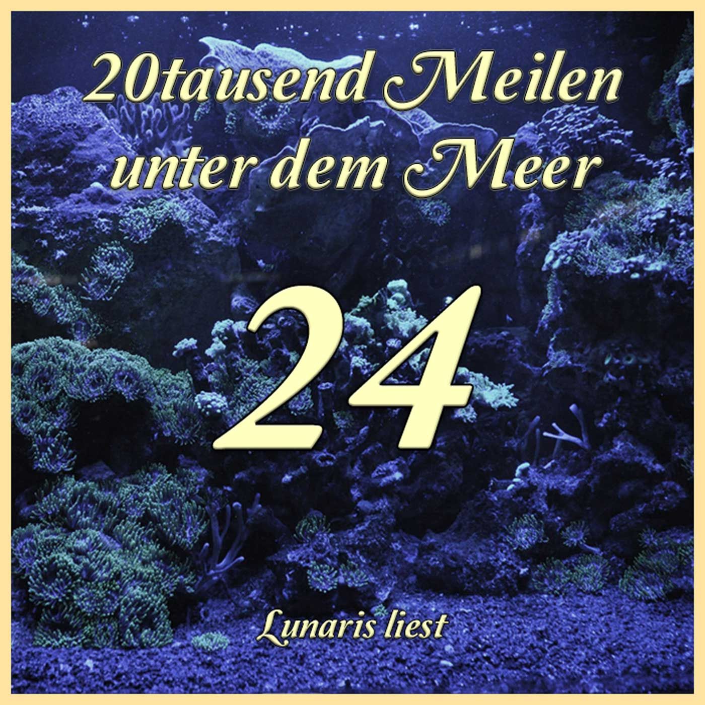 K24 Das Korallenreich - Finale von Band 1 - 20tausend Meilen unter dem Meer | Lunaris liest