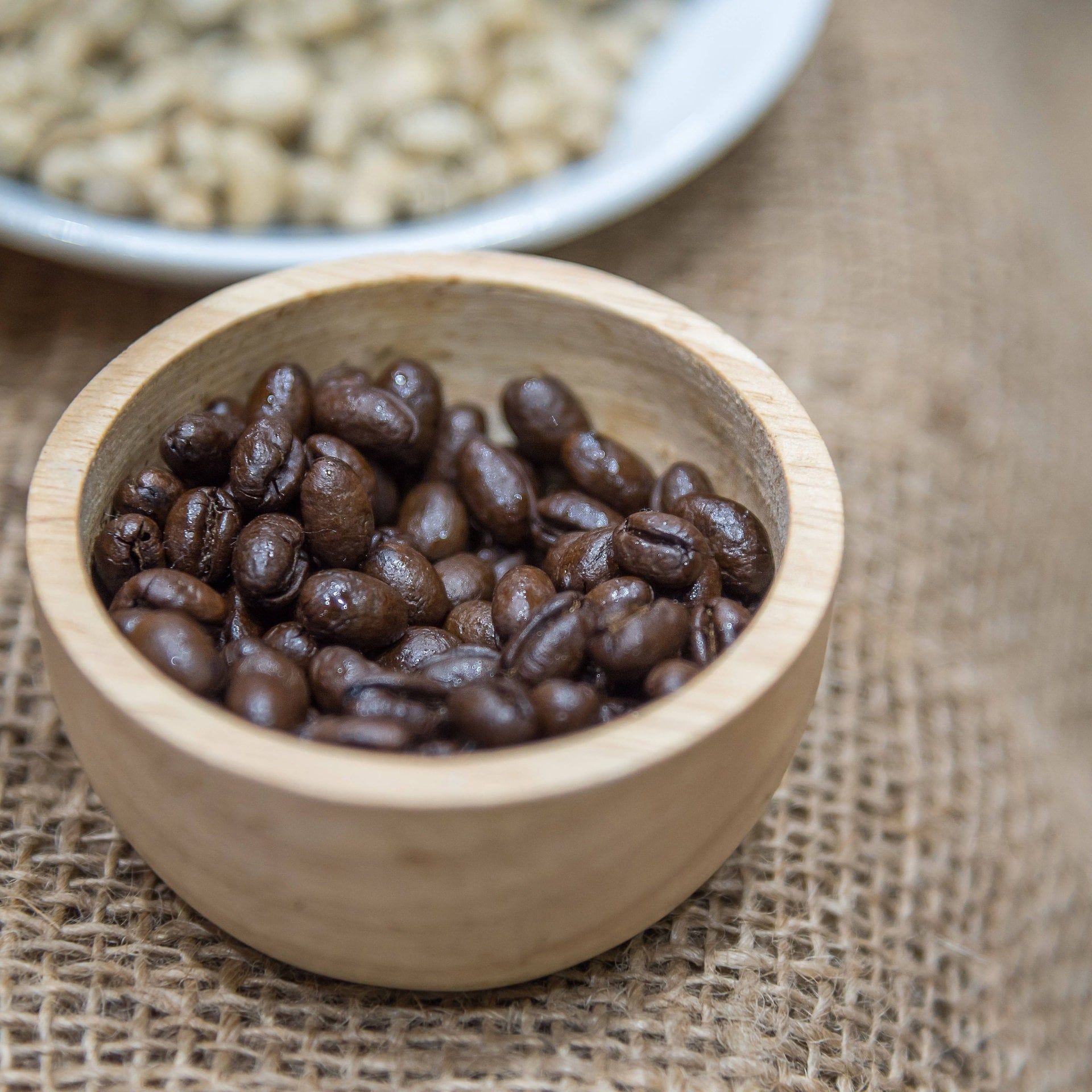 Kaffeeanbau zwischen Bananenstauden: Regeneratives Kaffee-Projekt im Südwesten Äthiopiens