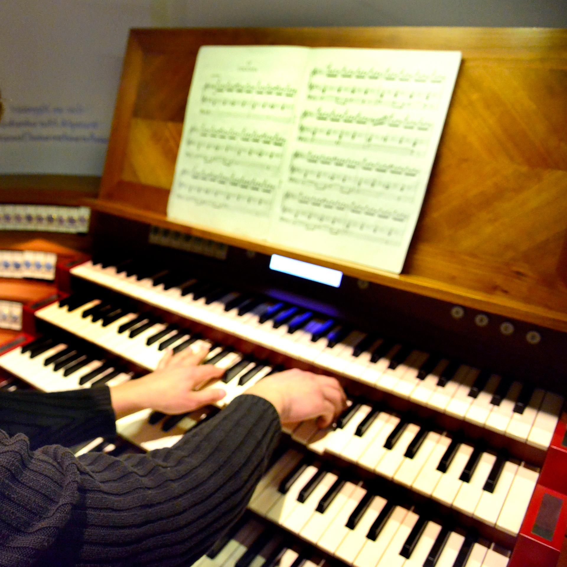 Kakadu - bei euch - Mattis spielt Orgel
