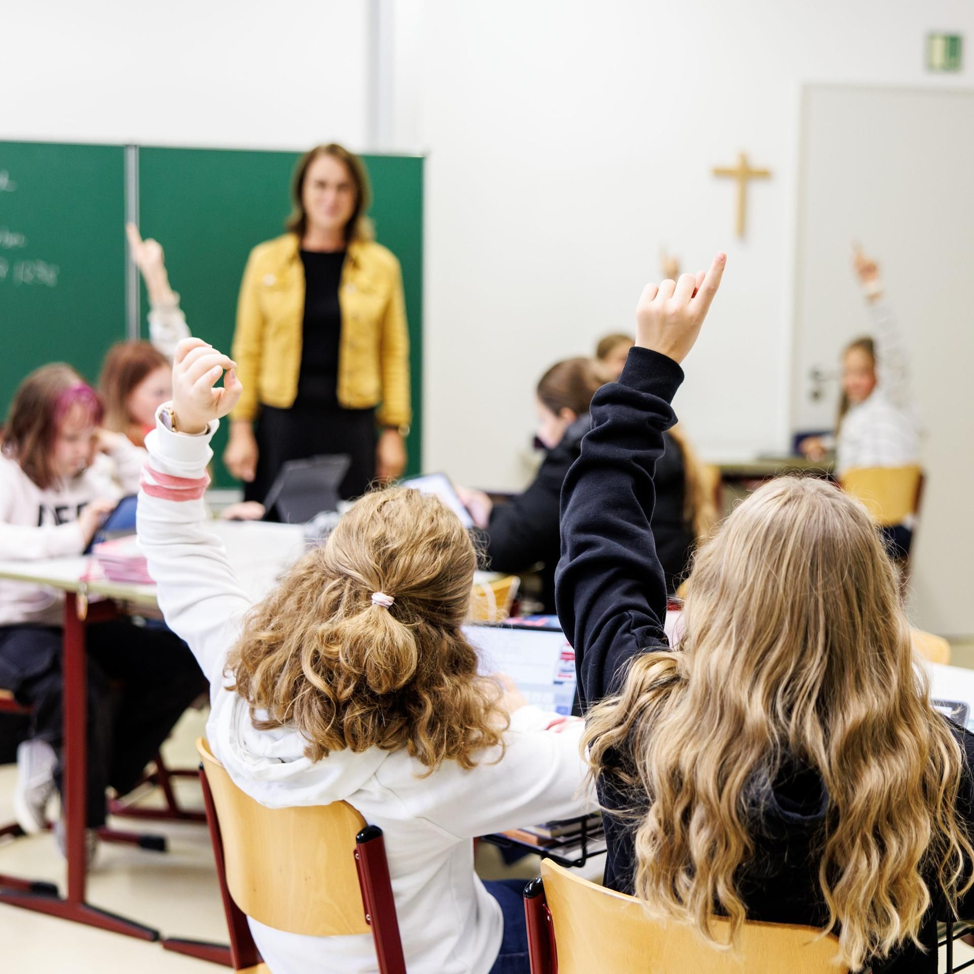 Kakadu bei euch - Pauline hat eine schwere Entscheidung getroffen