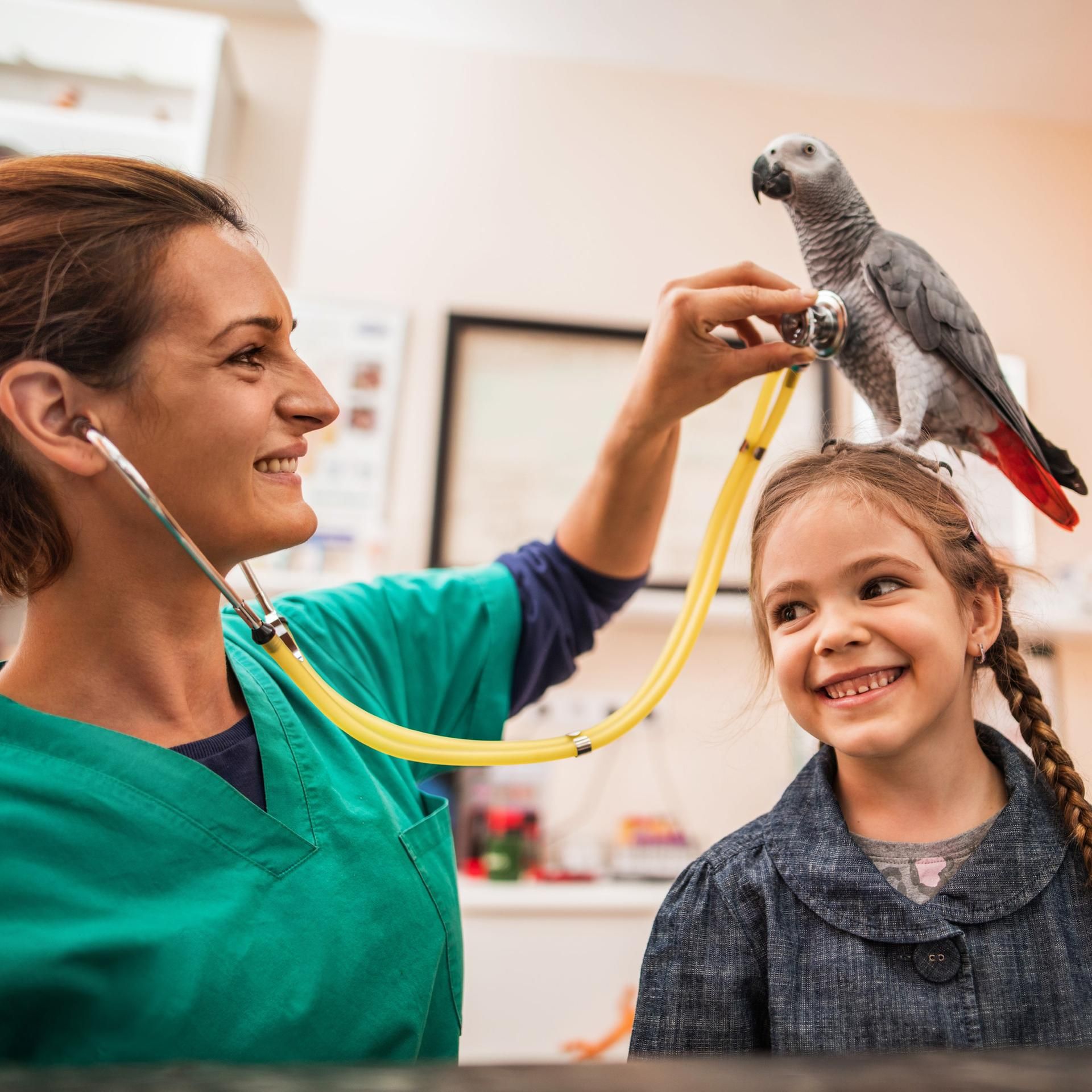 Kakadu eure Fragen: - Ist Tierärztin ein Traumberuf?
