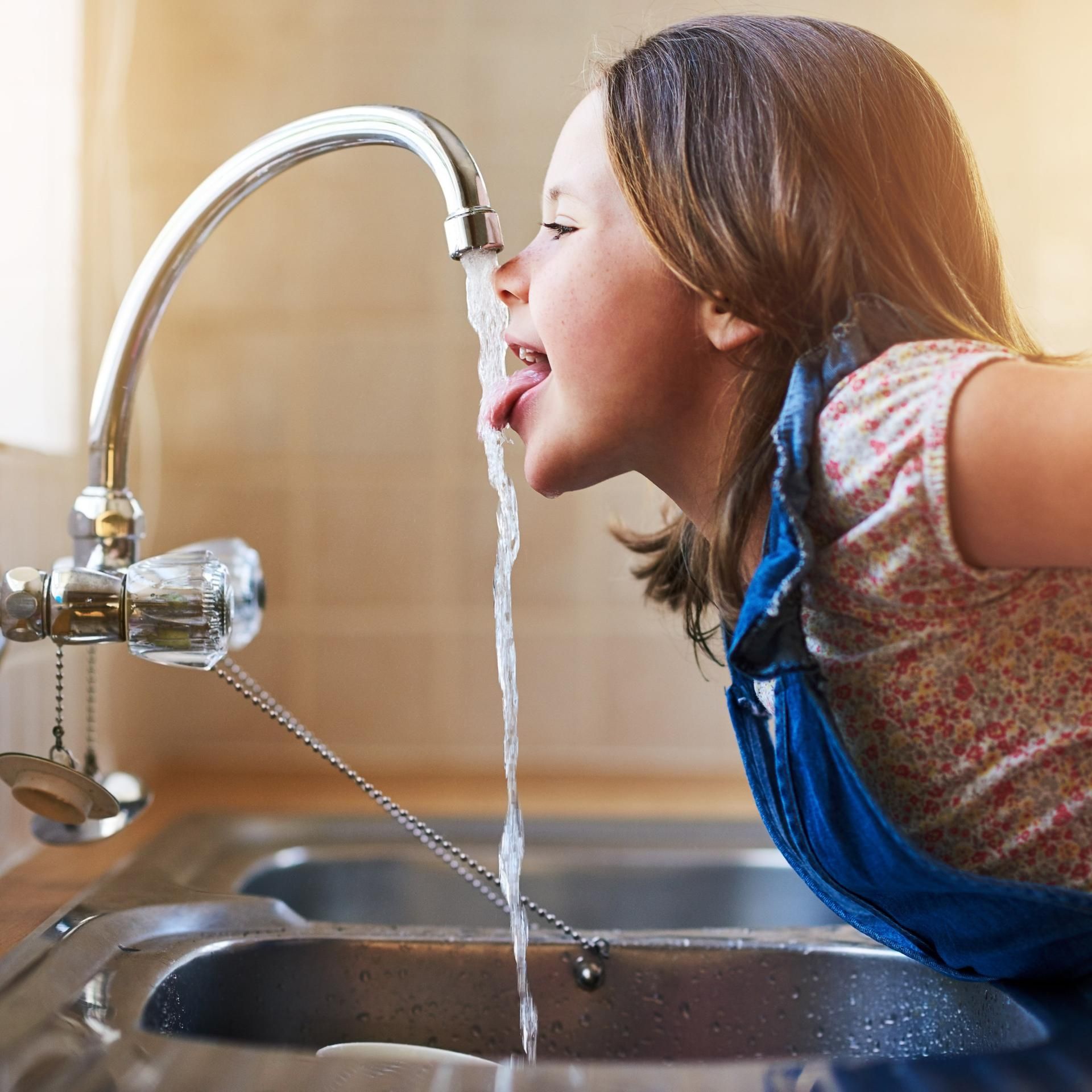 Kakadu - eure Fragen - Wie kommt das Wasser in den Wasserhahn?