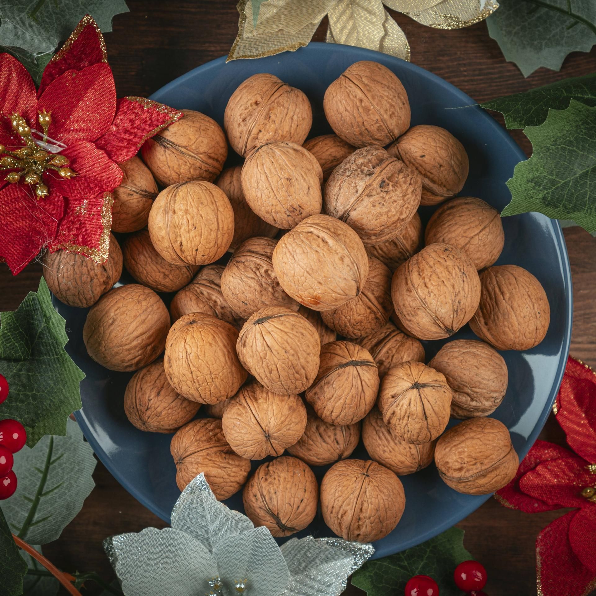 Kakadu Familienrätsel am Zweiten Weihnachtsfeiertag - Welches Wort wird gesucht?