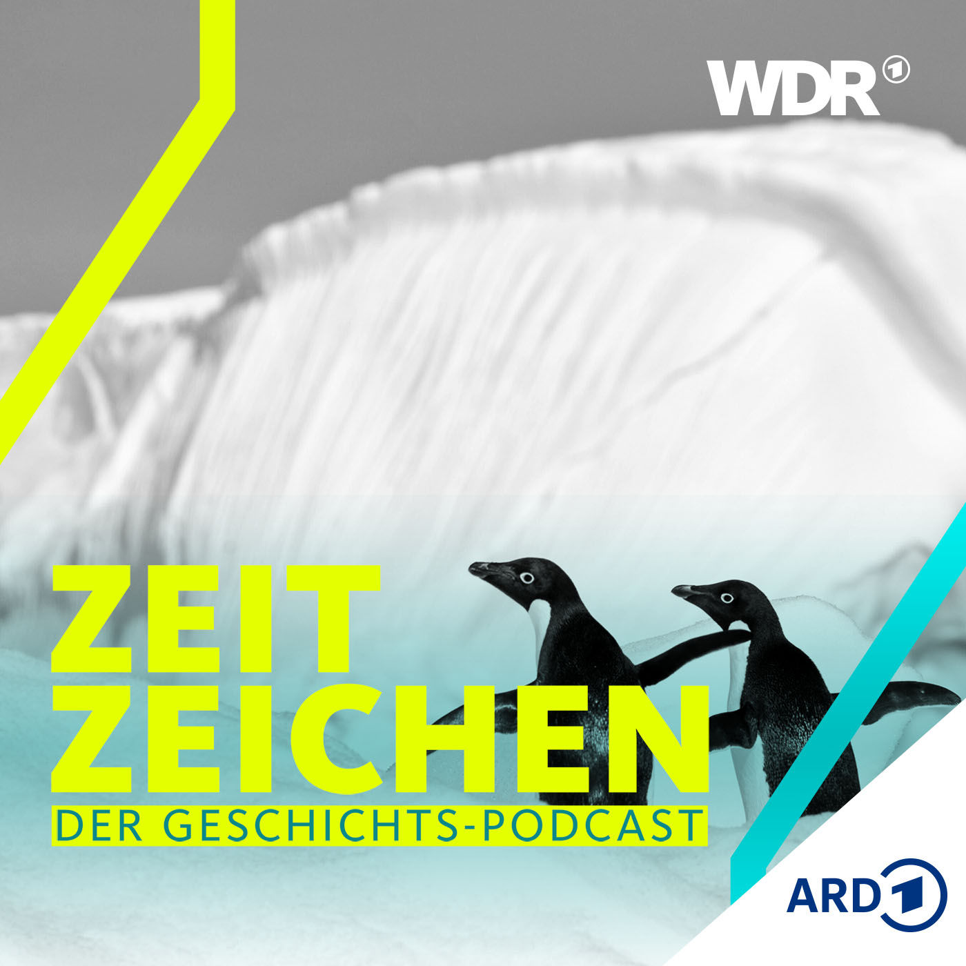 Kalte Einöde: Erstmals überwintern neun Frauen in der Antarktis