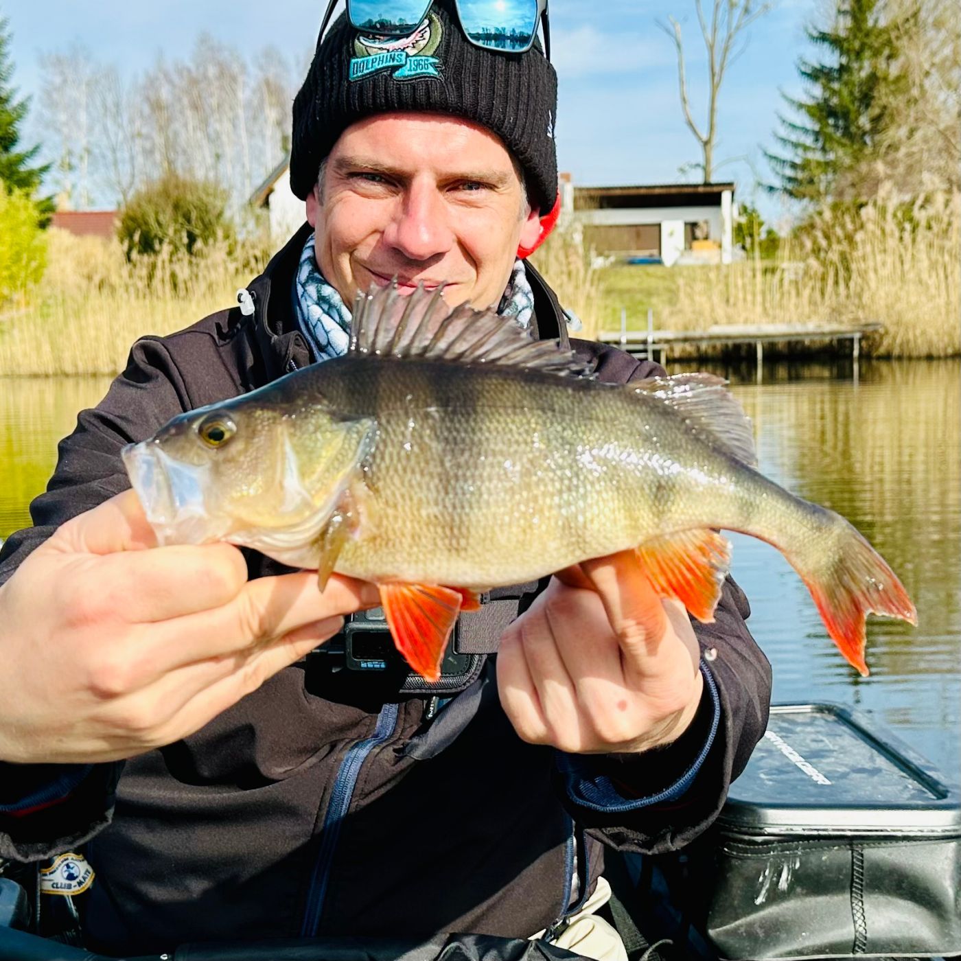 Kaltes Wasser, dicke Barsche - Oldschool bringt den Fisch! | #169