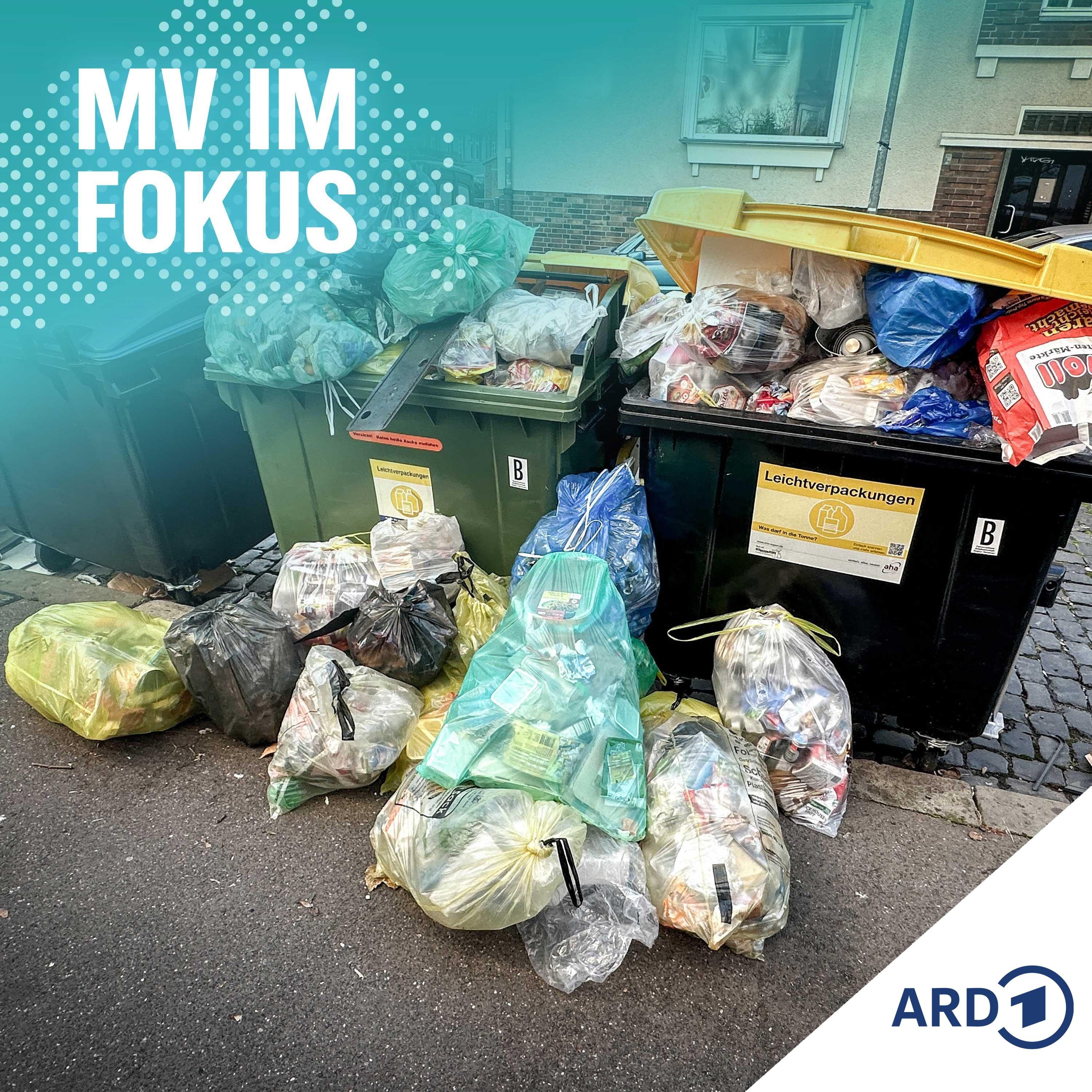 Kampf gegen die Müllflut: So will Rostock plastikfrei werden