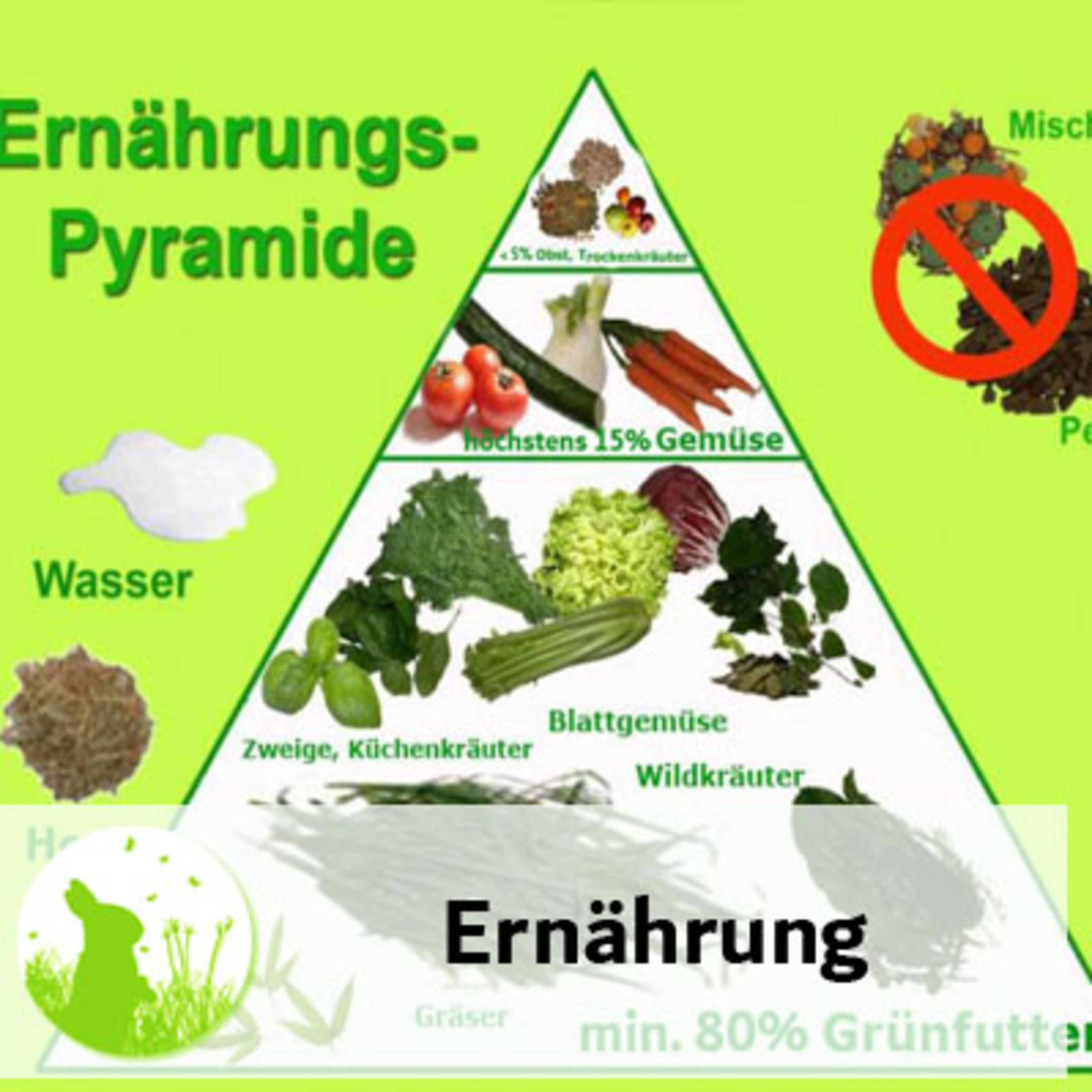 Kaninchen gesund ernähren