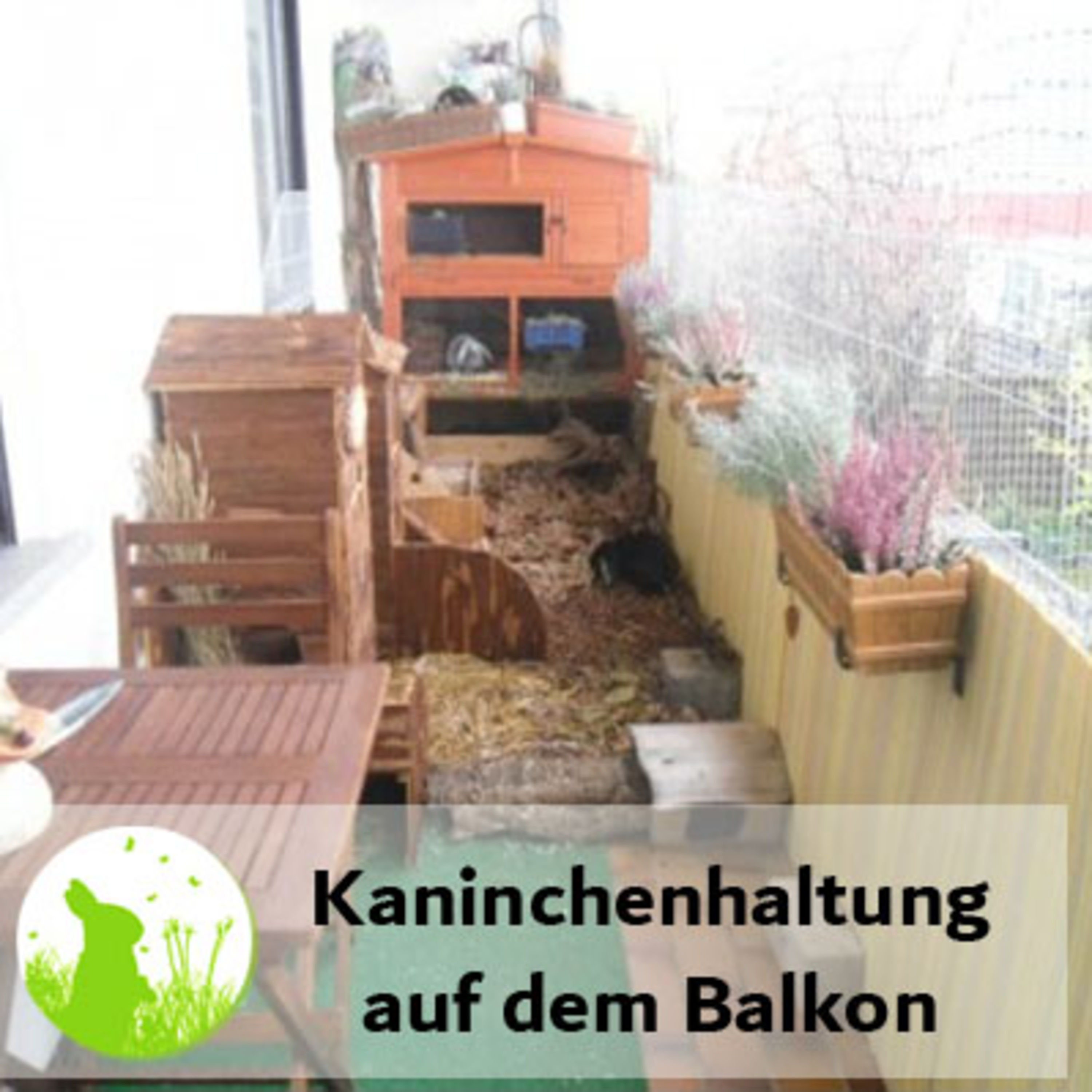 Kaninchenhaltung auf dem Balkon