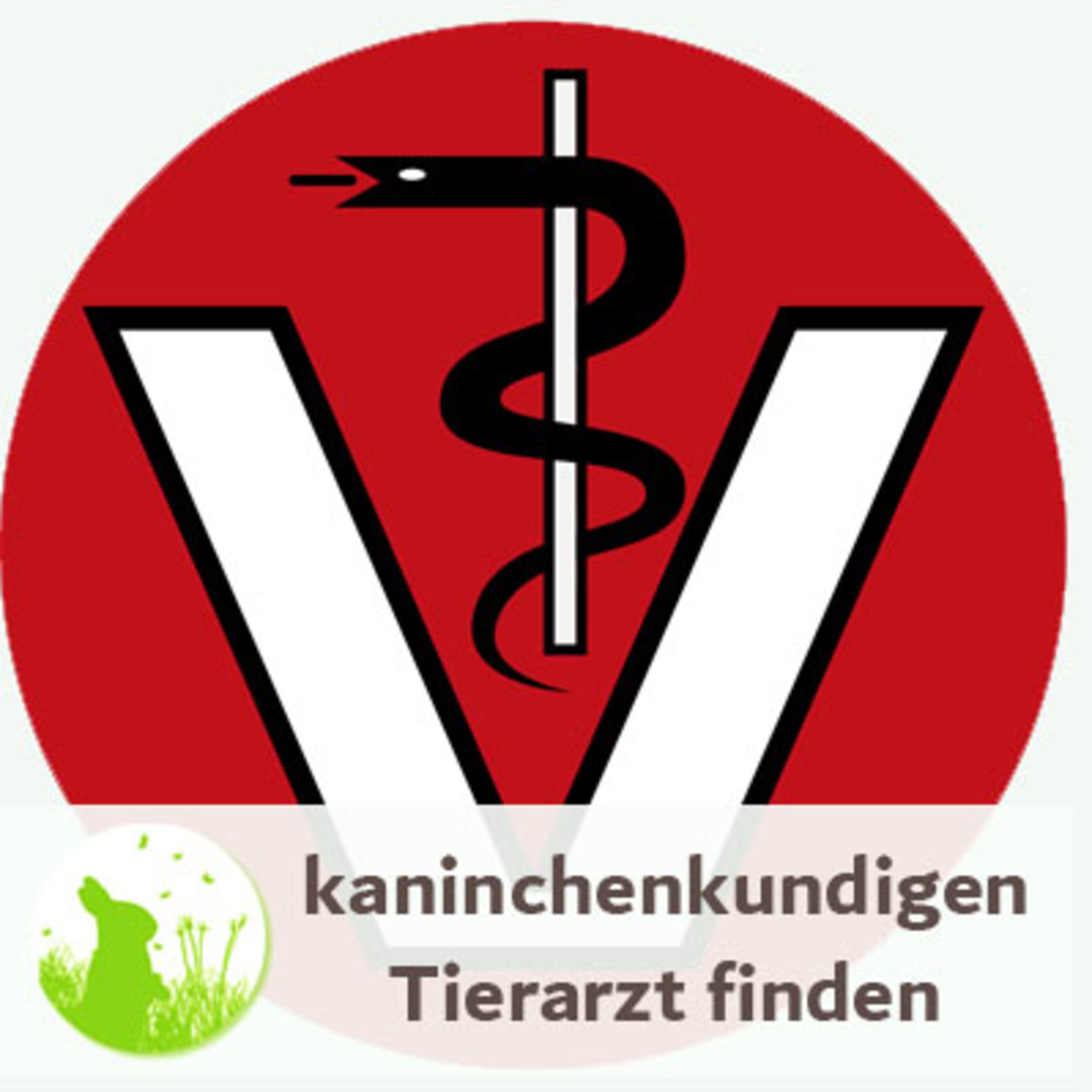 Kaninchenkundiger Tierarzt - wie findet man den?