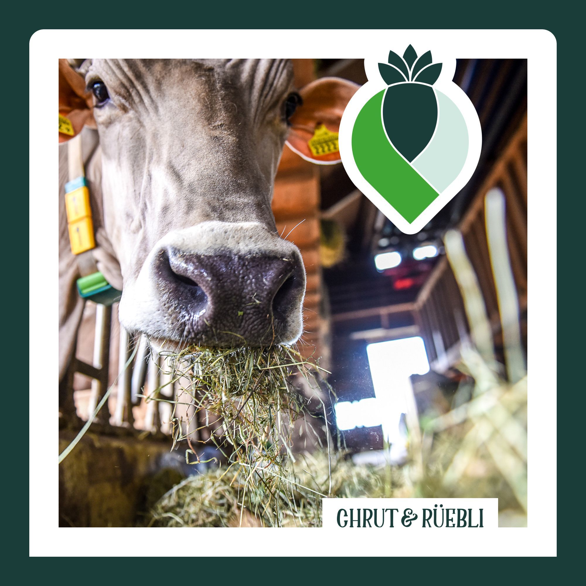 Kann Bio die Welt retten?