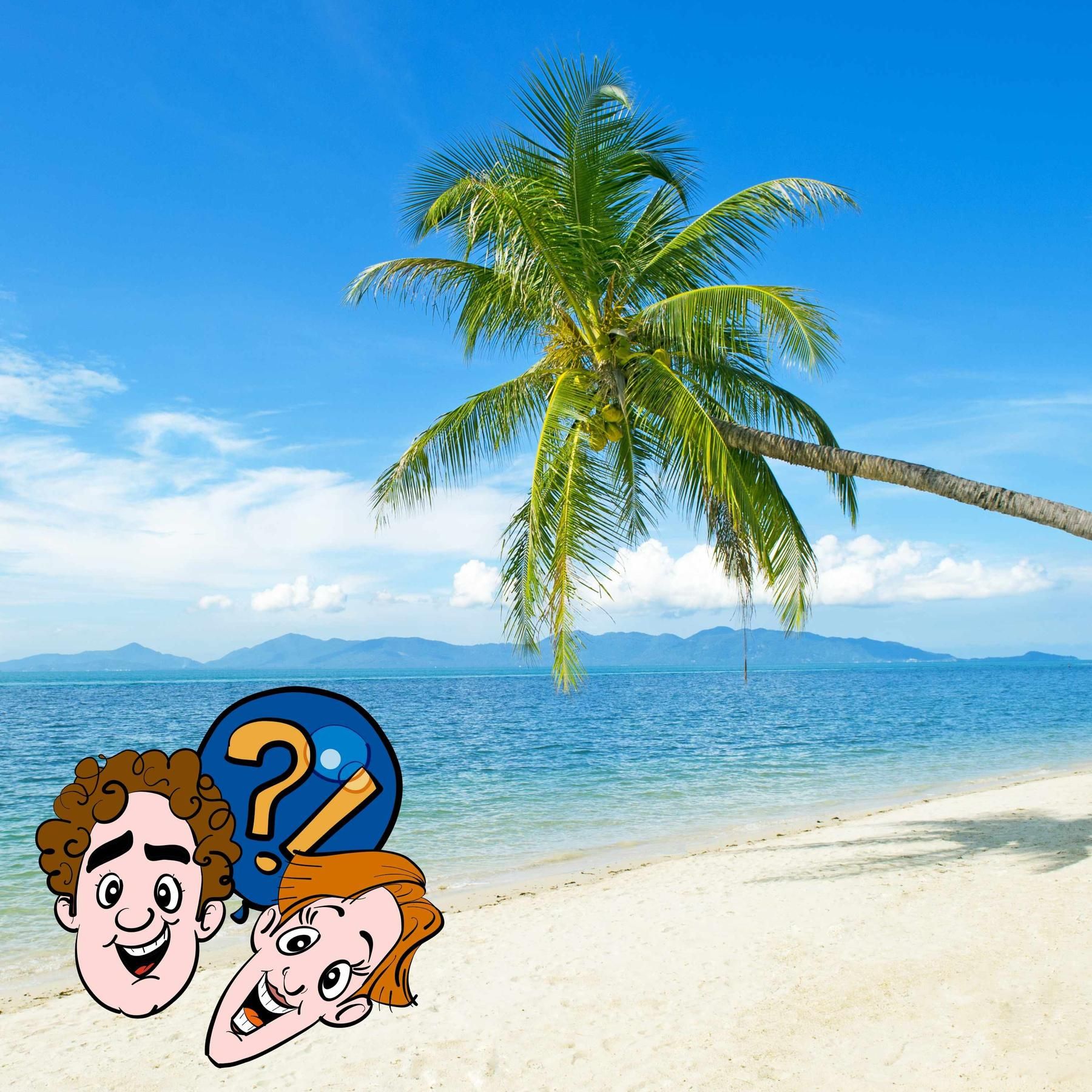 Kann man mit einem Staubsauger den ganzen Sand vom Strand entfernen?