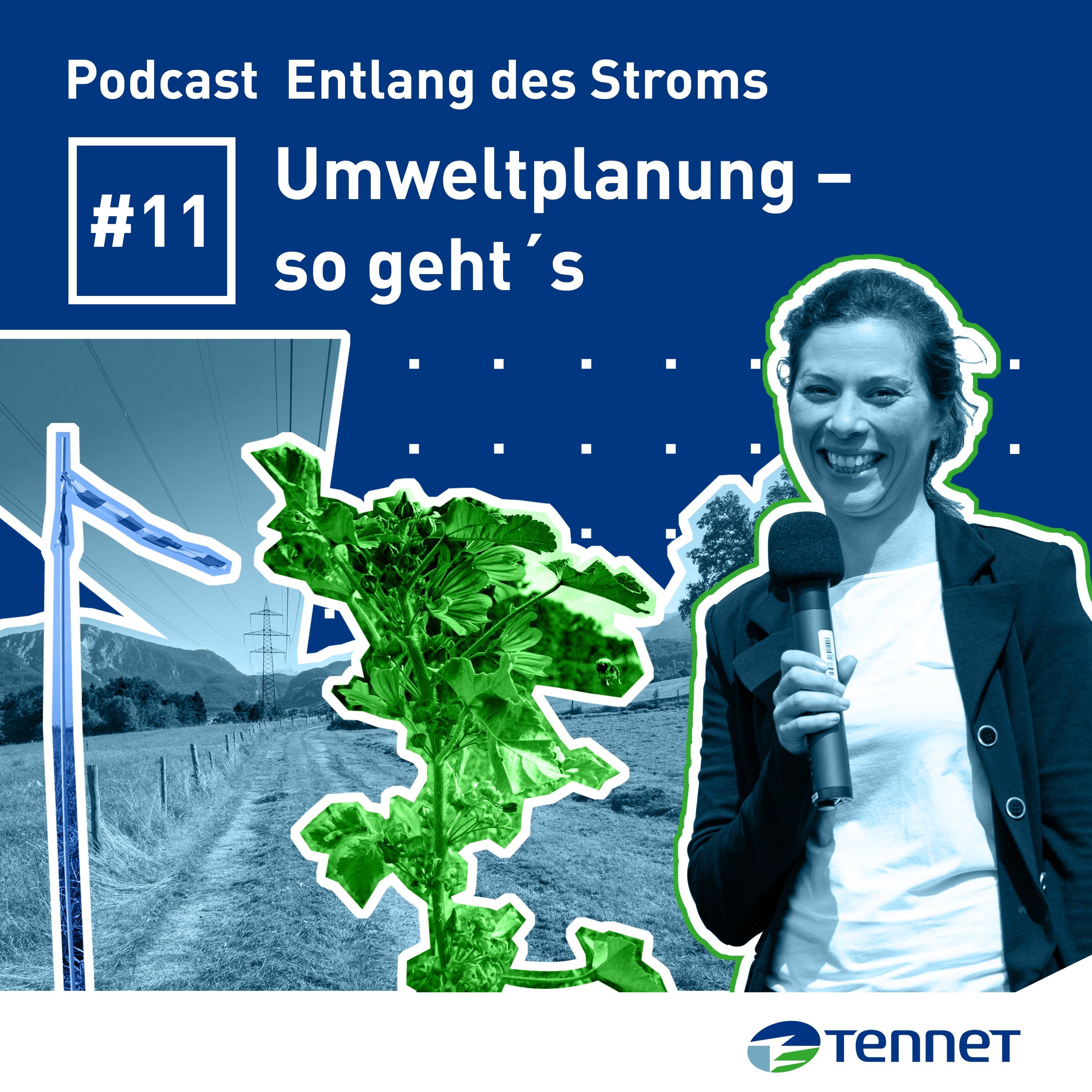 Kartierungen/Baugrunduntersuchungen