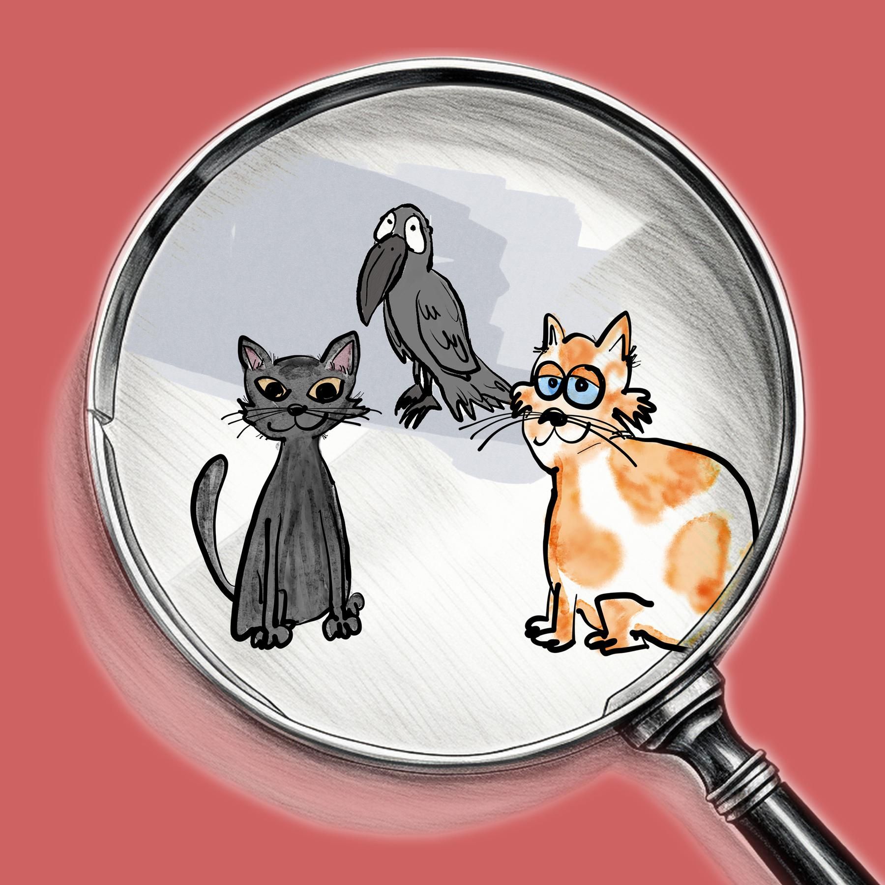 Kater Vivaldi: die mysteriöse Krähe