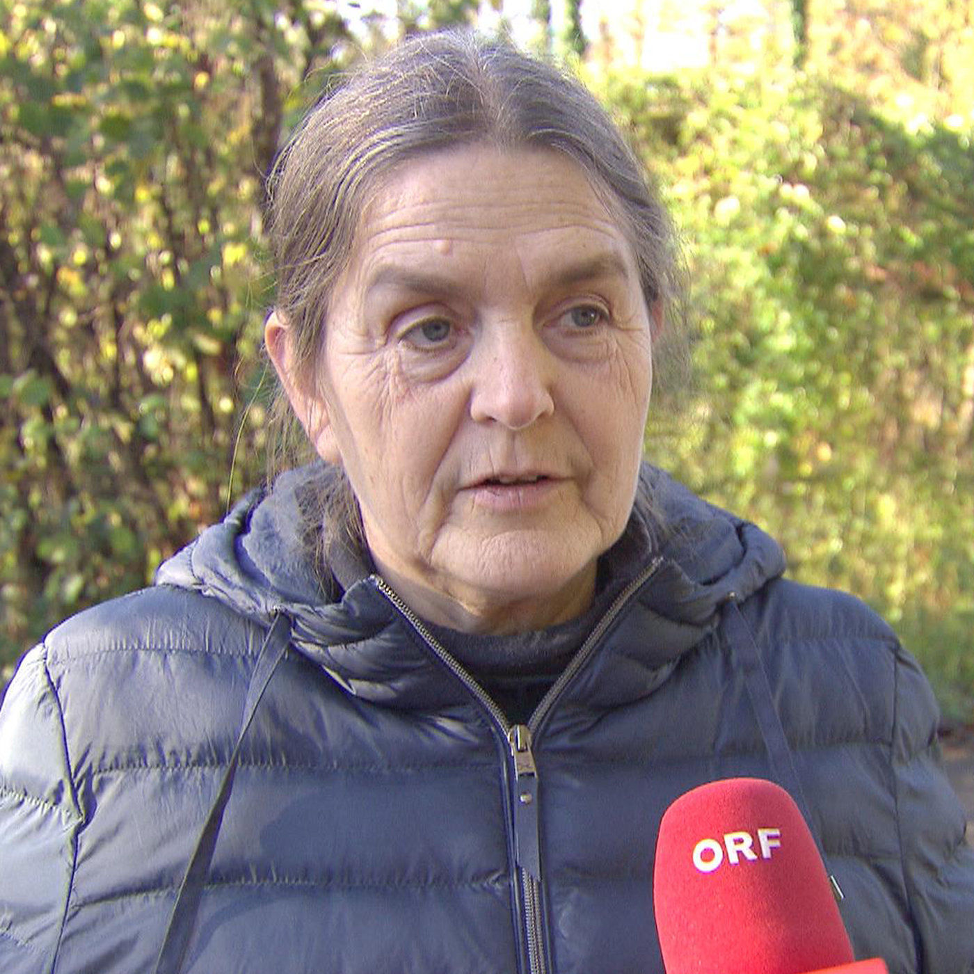 Katharina Lins, Naturschutzanwältin